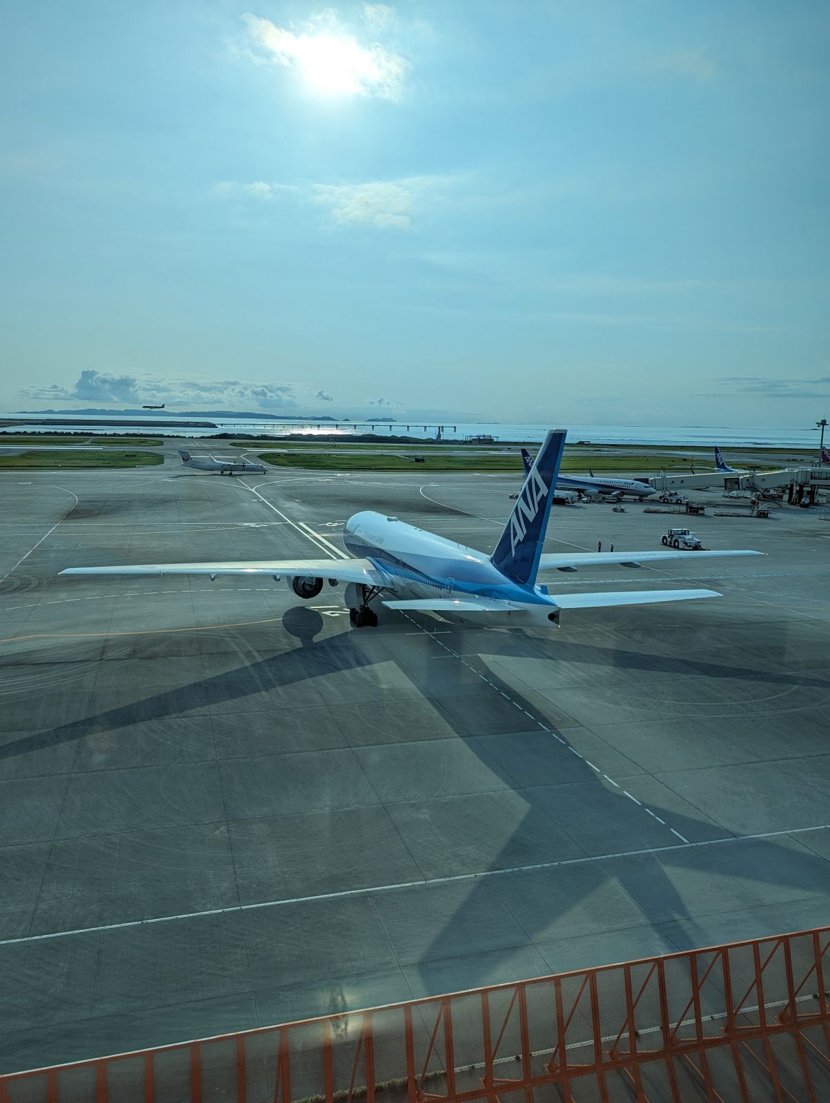 飛行機の観察