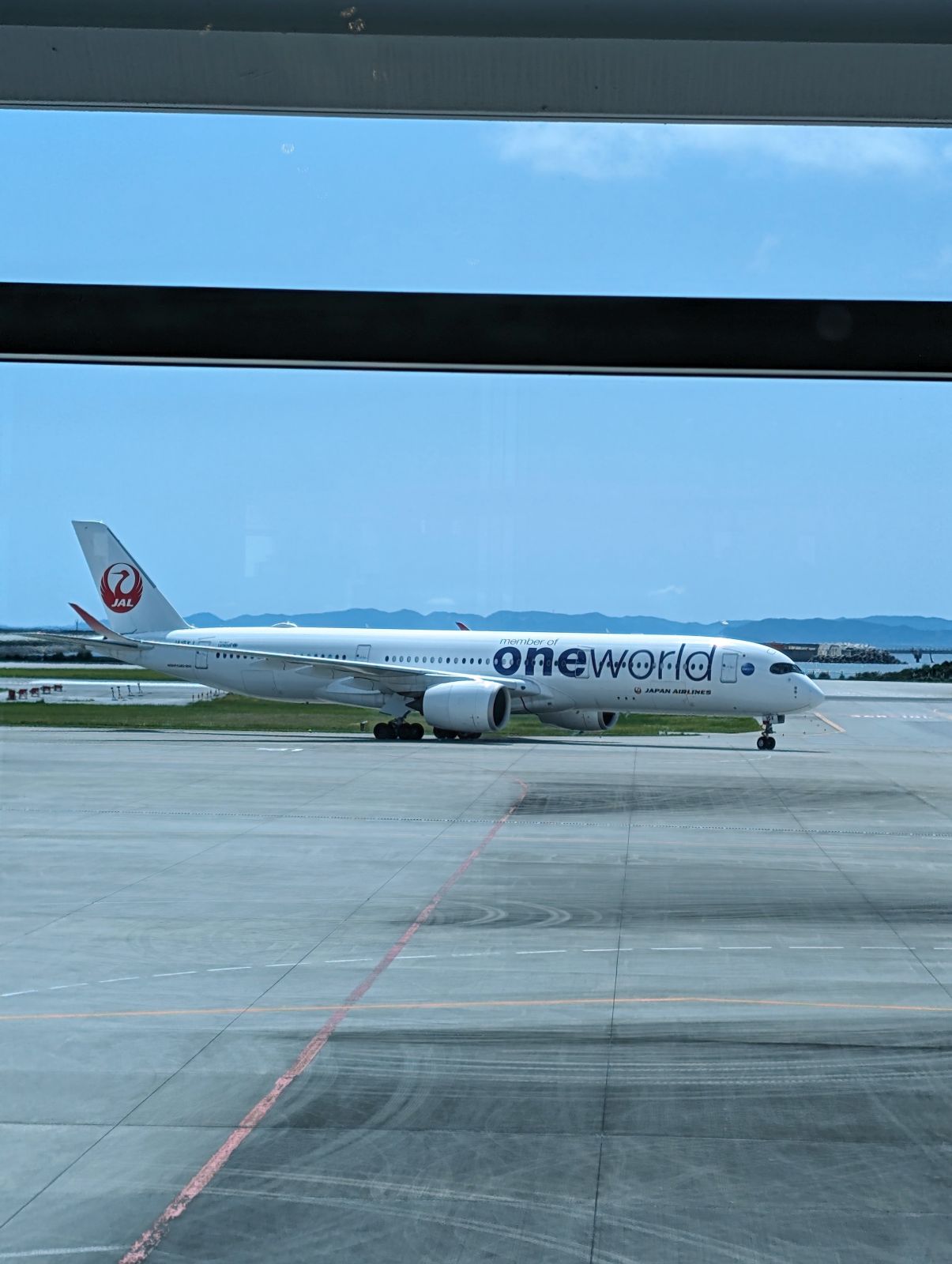 oneworld塗装