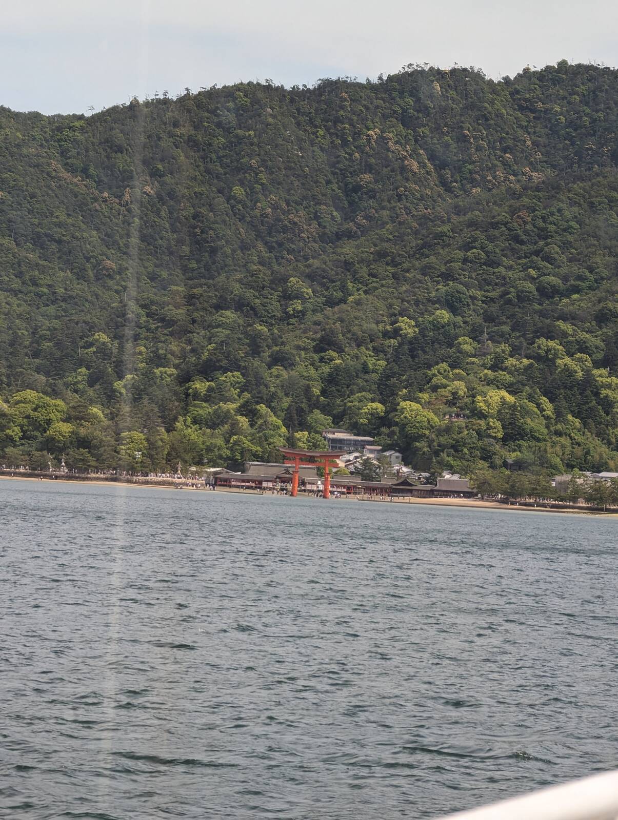 海から鳥居