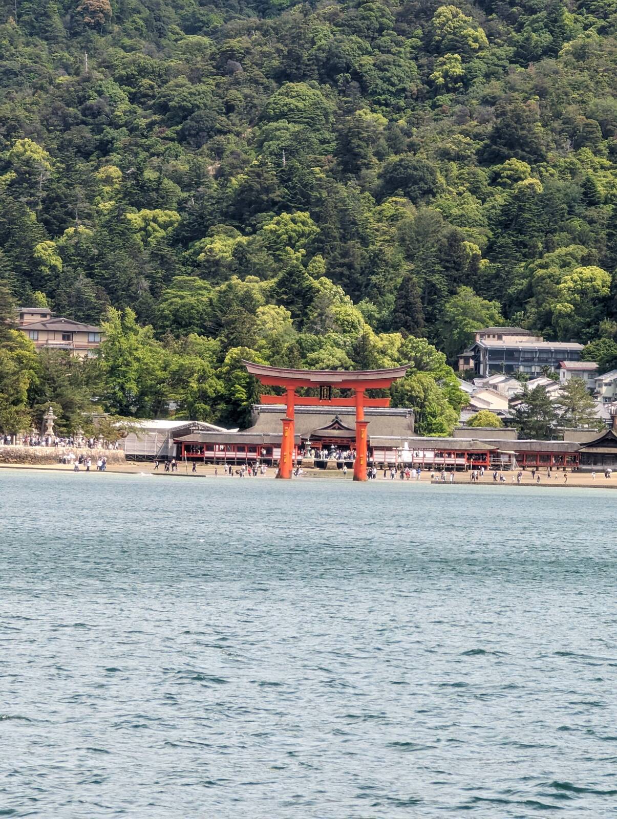 海から鳥居２