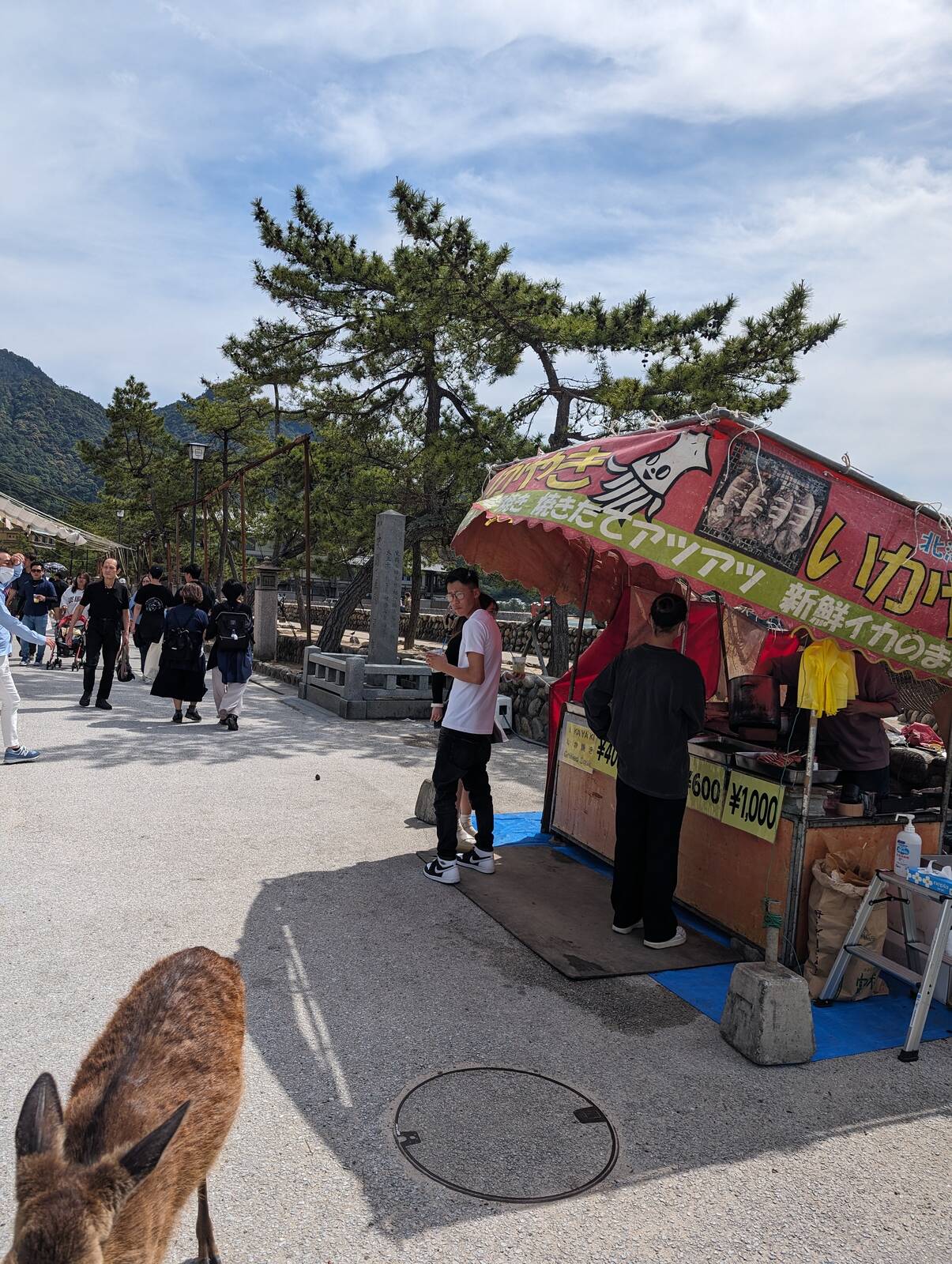 イカ焼き