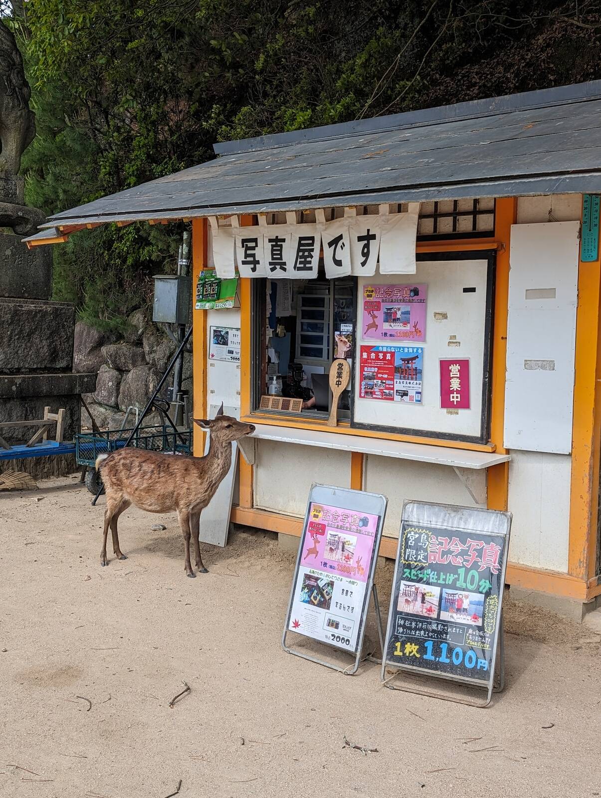 写真屋です