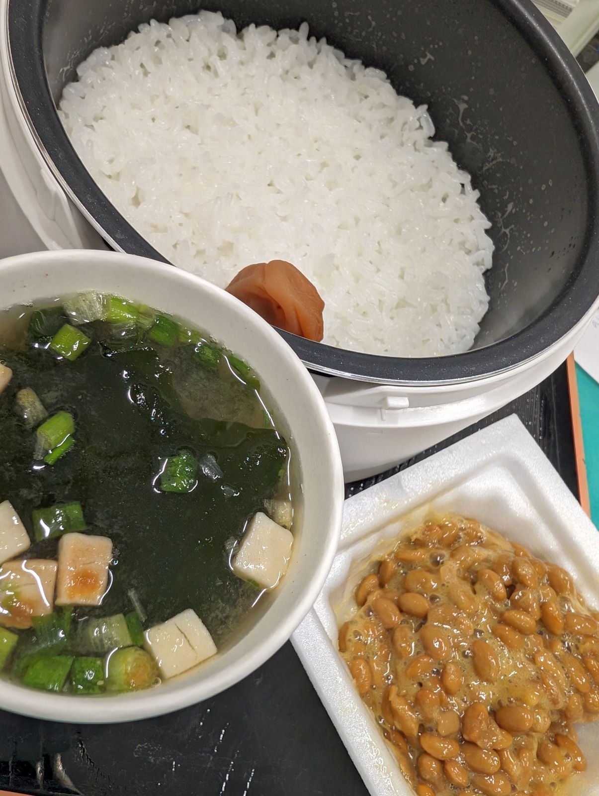 本日の昼食