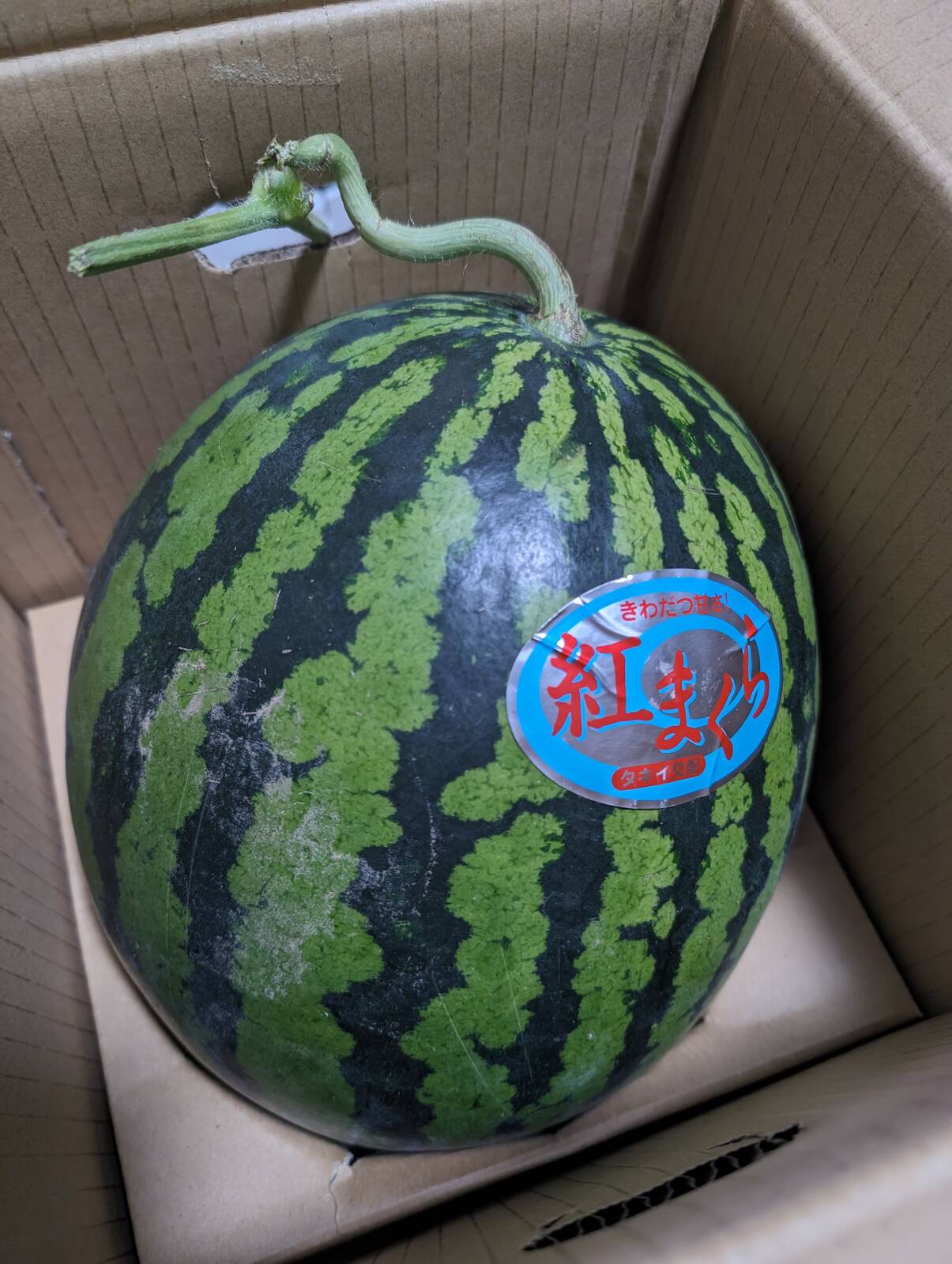 今月のふるさと納税返礼品