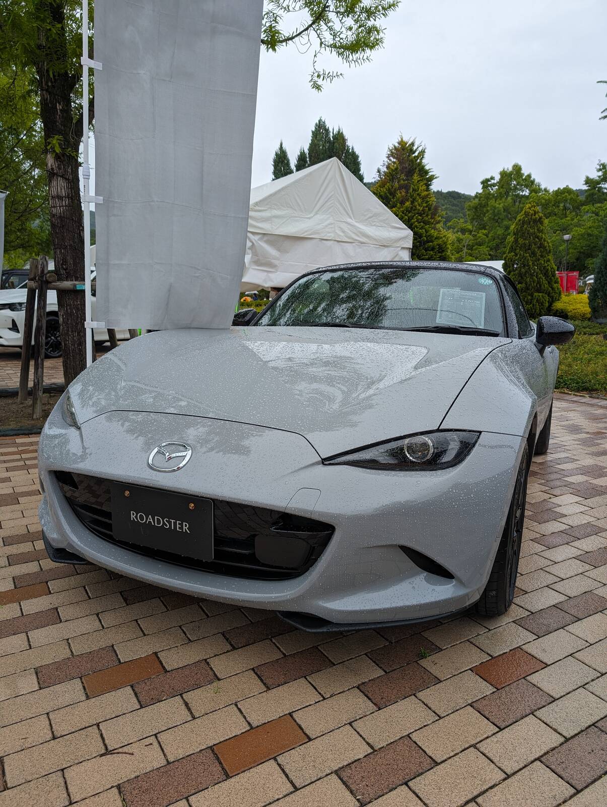 ROADSTER