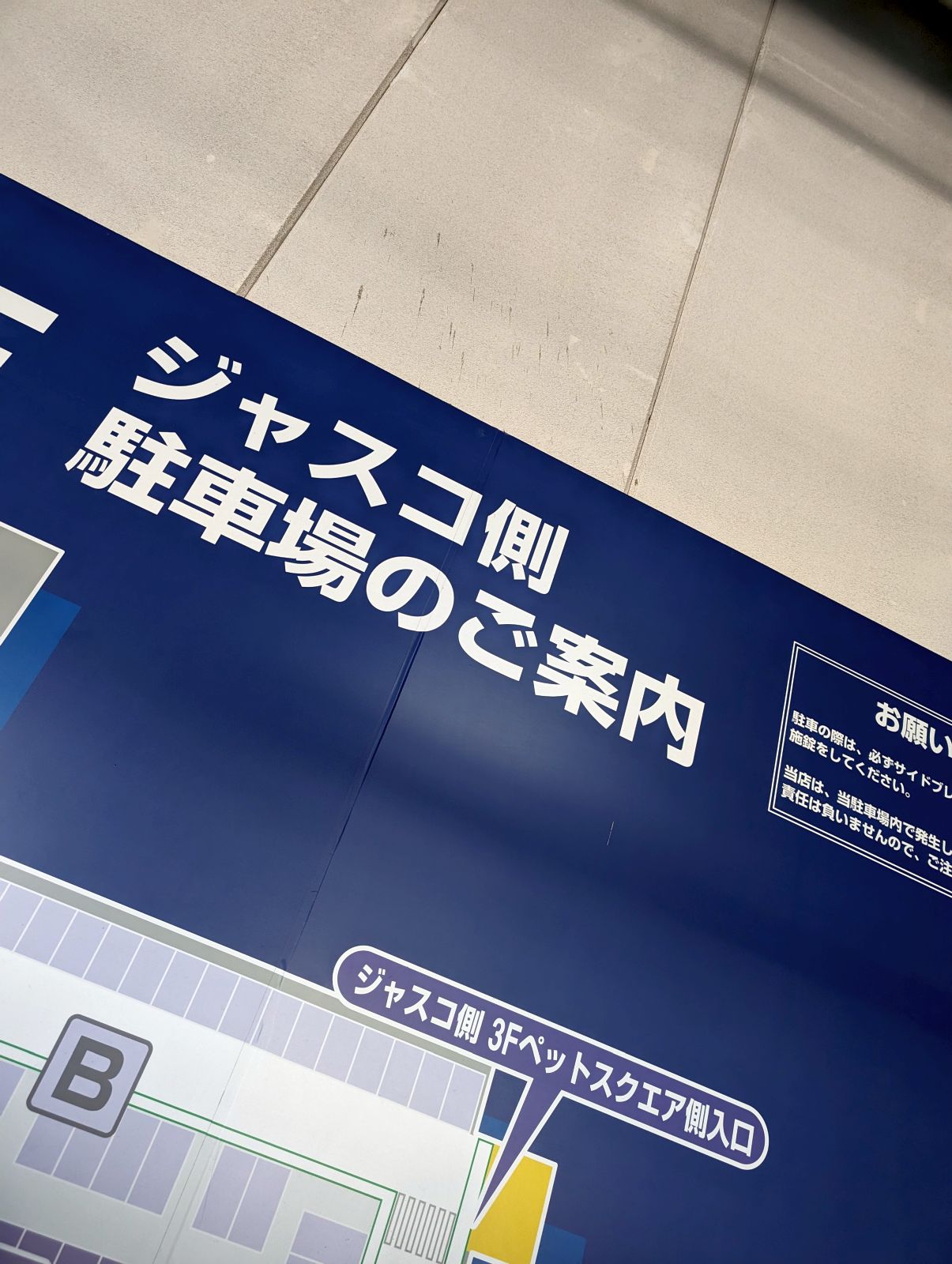 ジャスコ来店