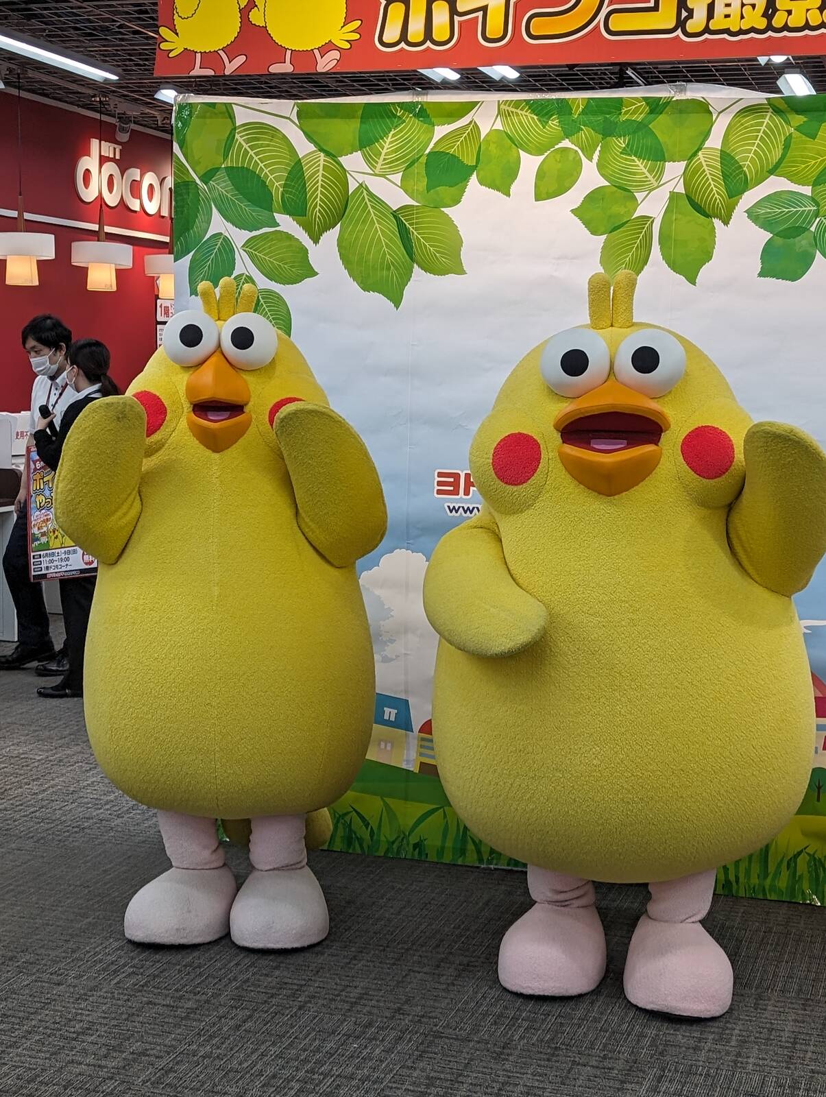 撮影会