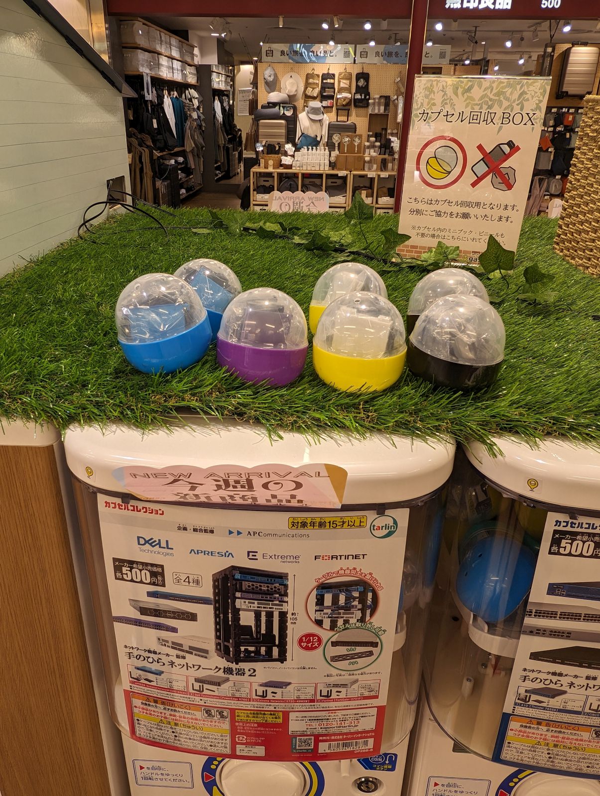 今回の成果