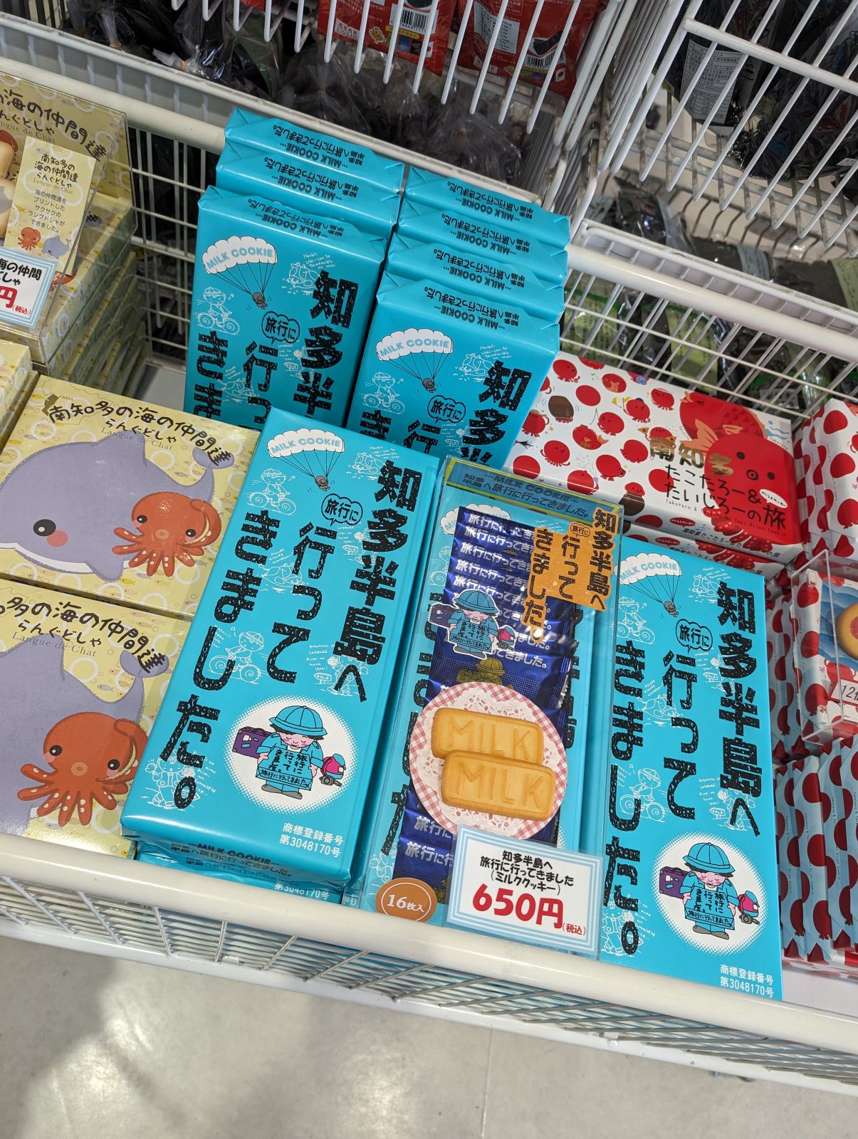 知多半島へ行ってきました。