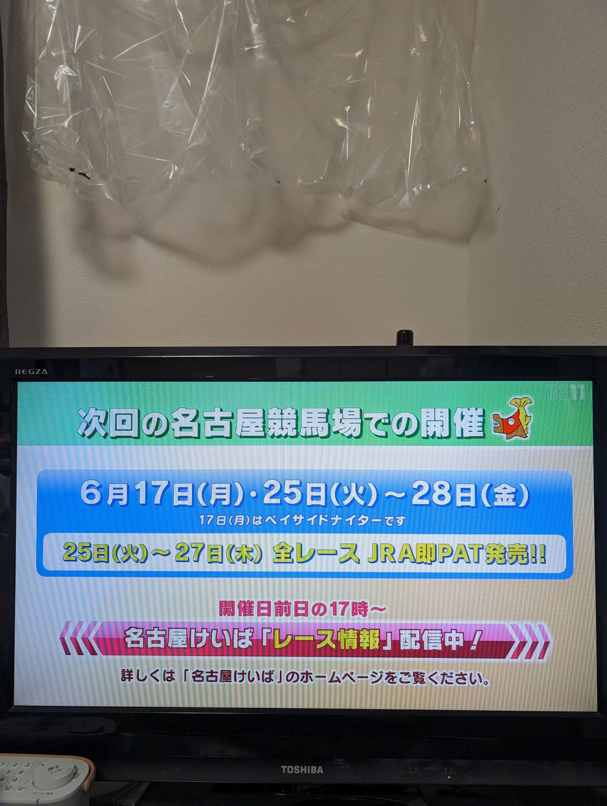 次回の名古屋競馬場での開催