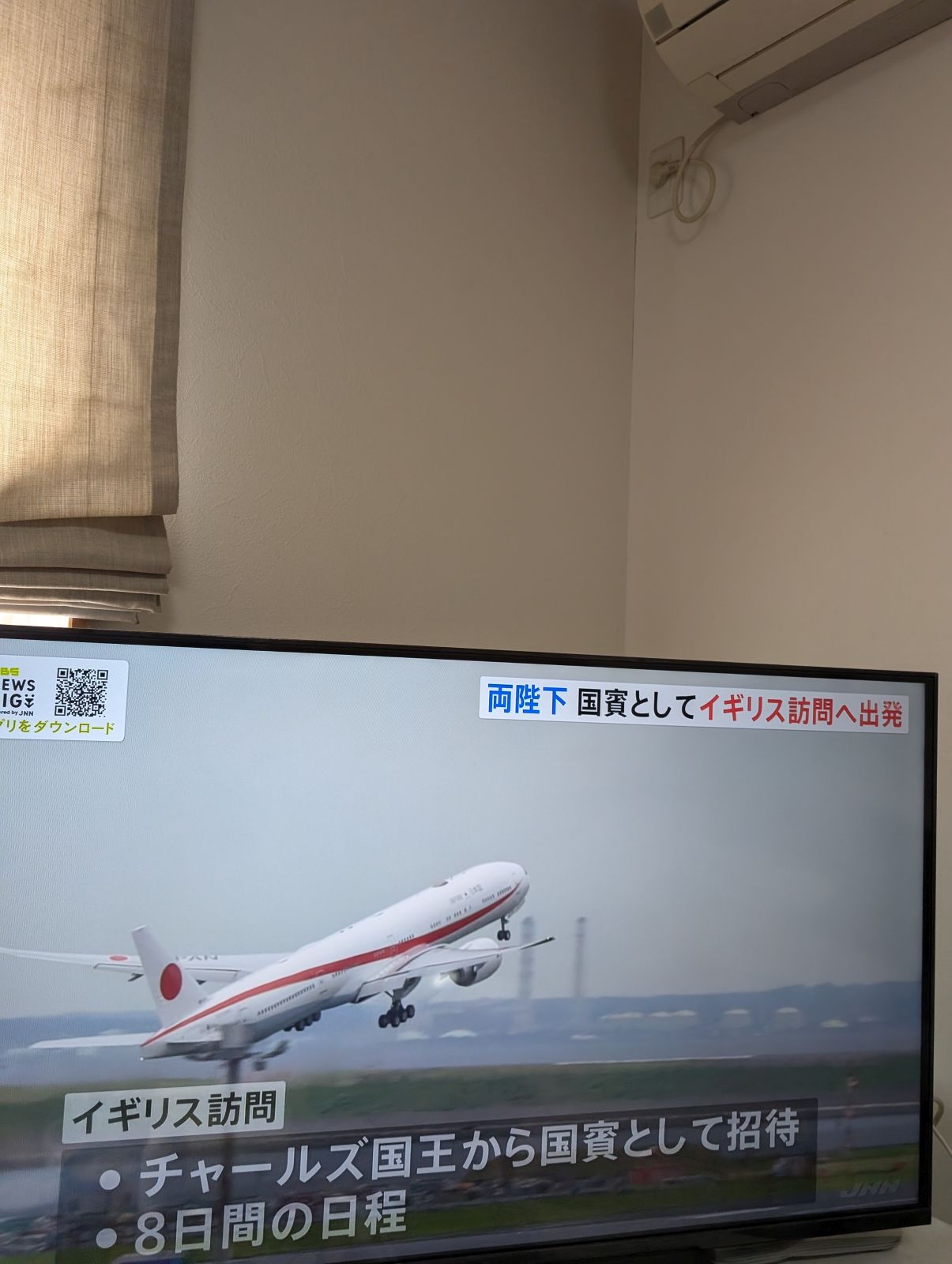 梅干し