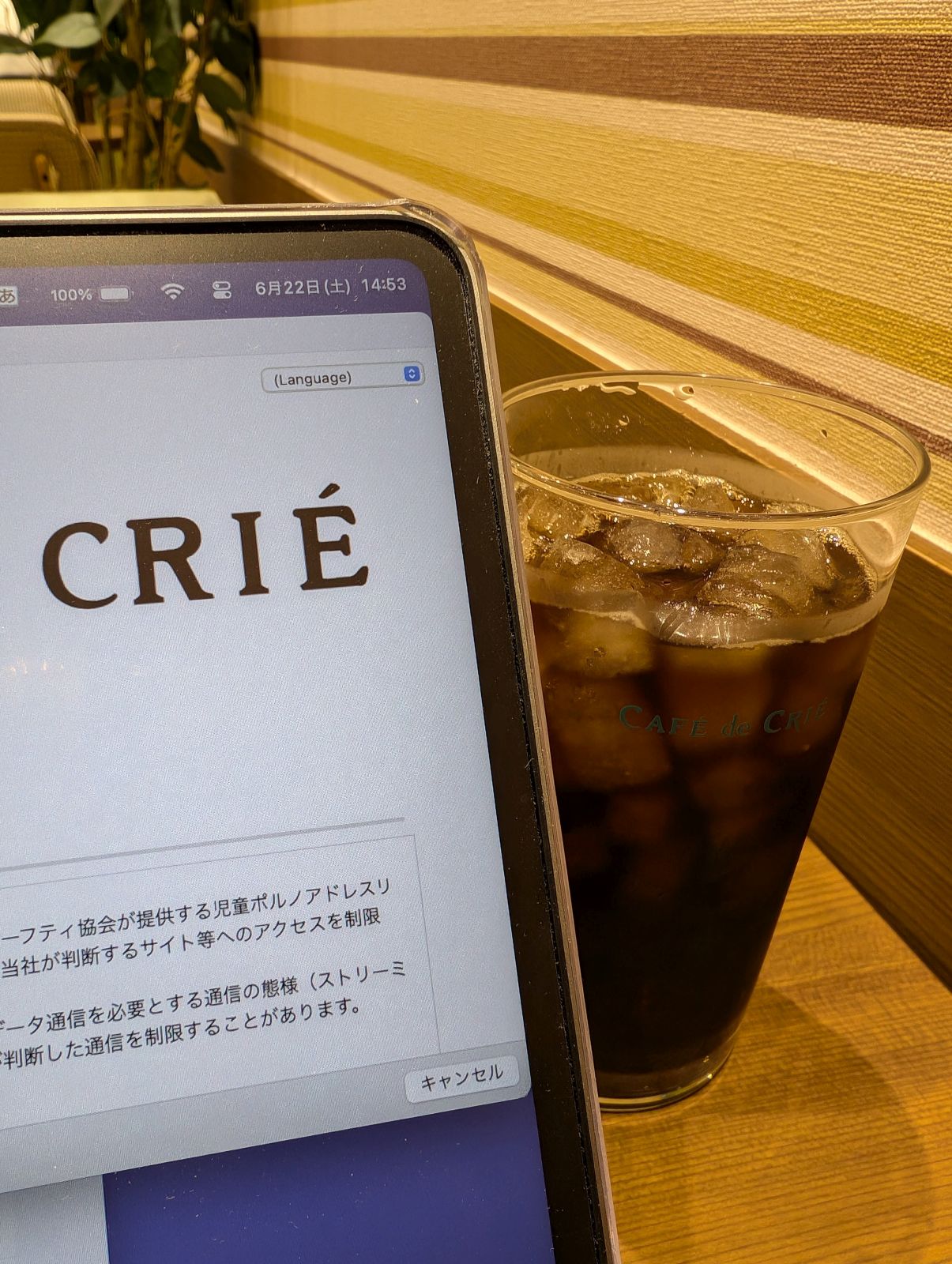 本日のコーヒー