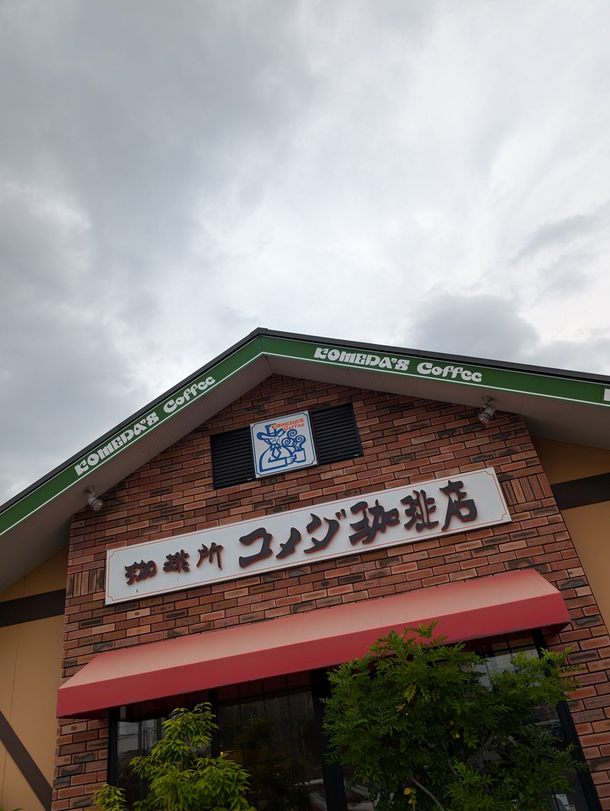 コメダ来店