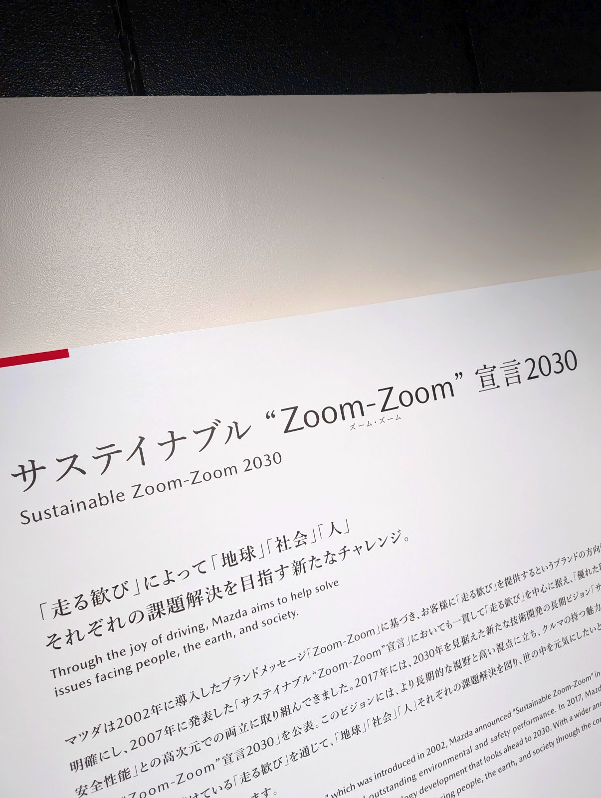 Zoom-Zoom