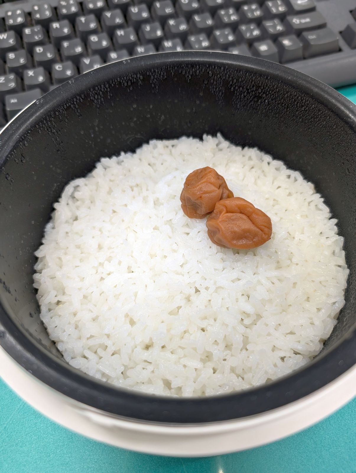 本日の昼食