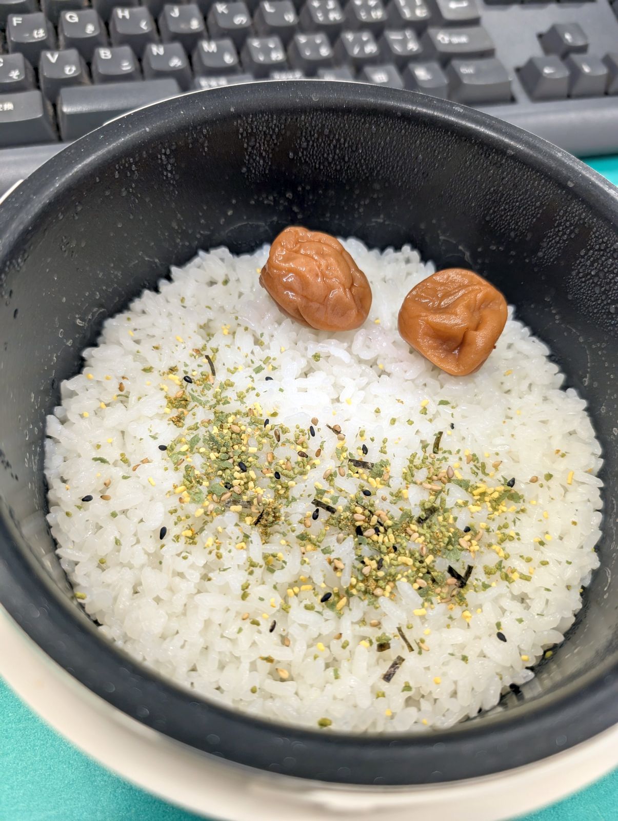 本日の昼食
