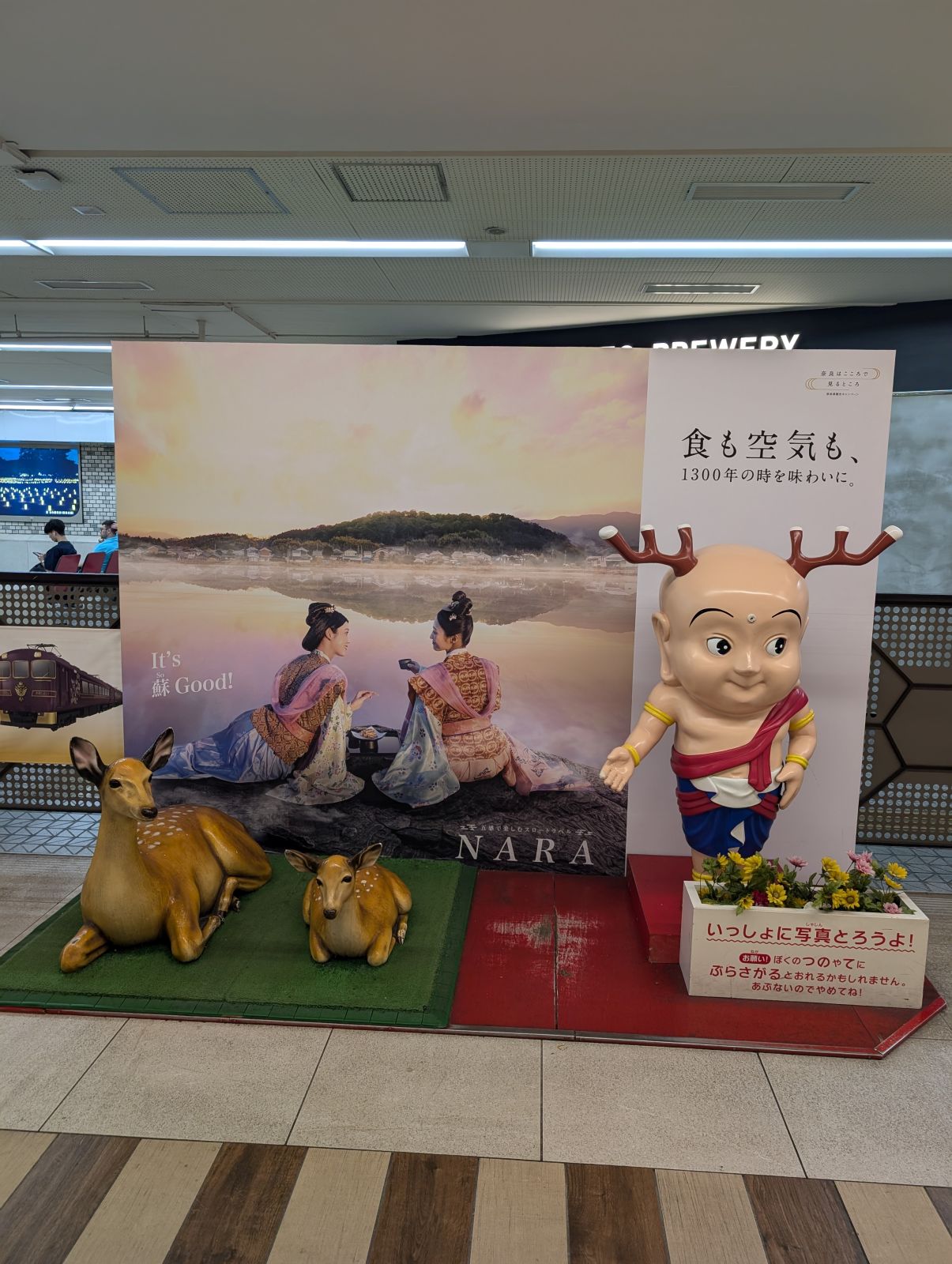 撮影スポット