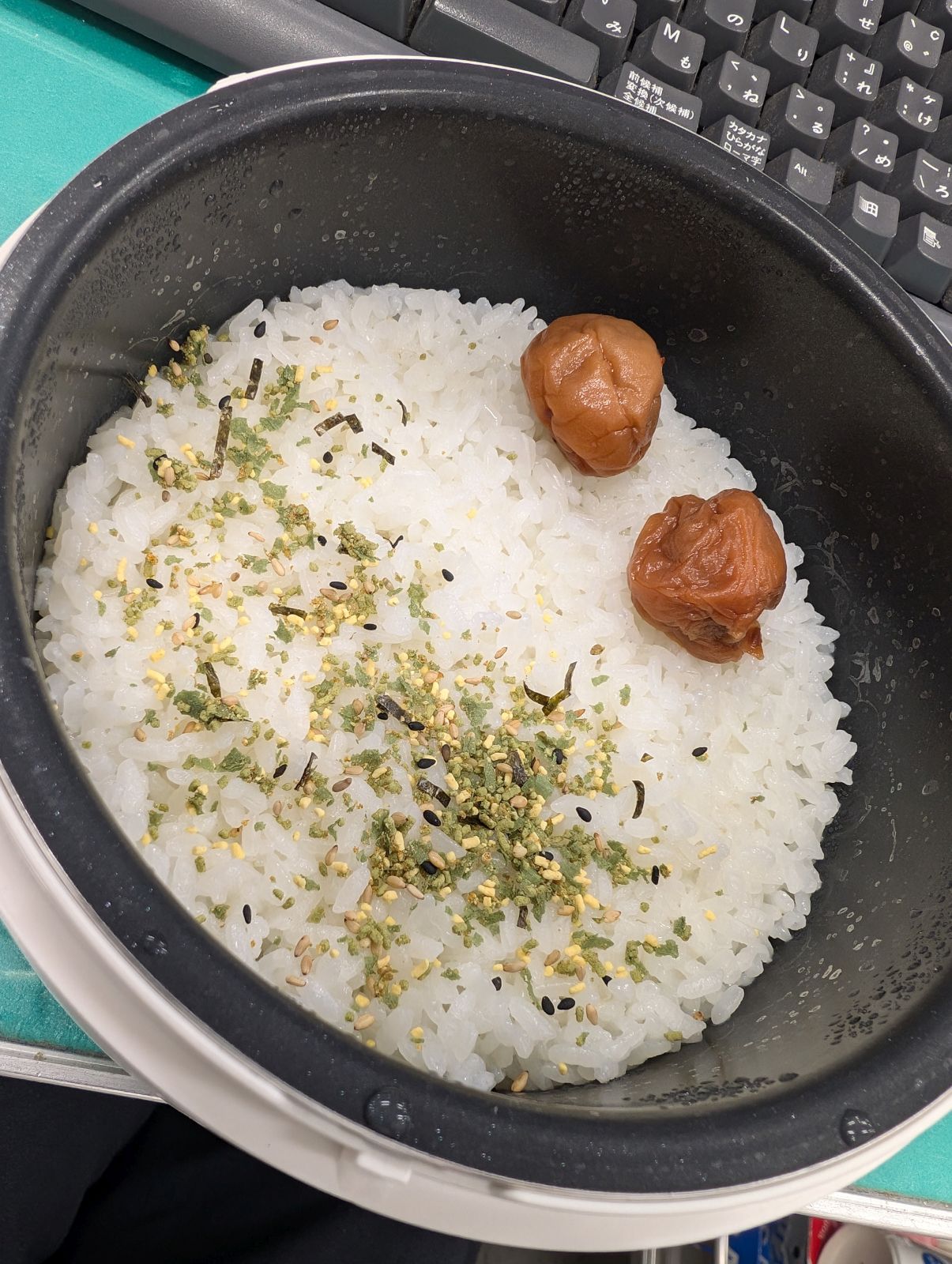 本日の昼食