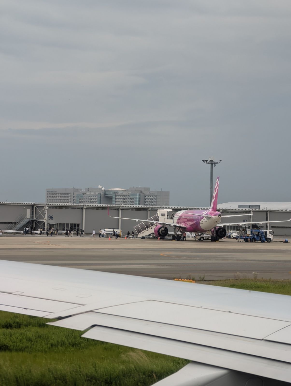 Peach機