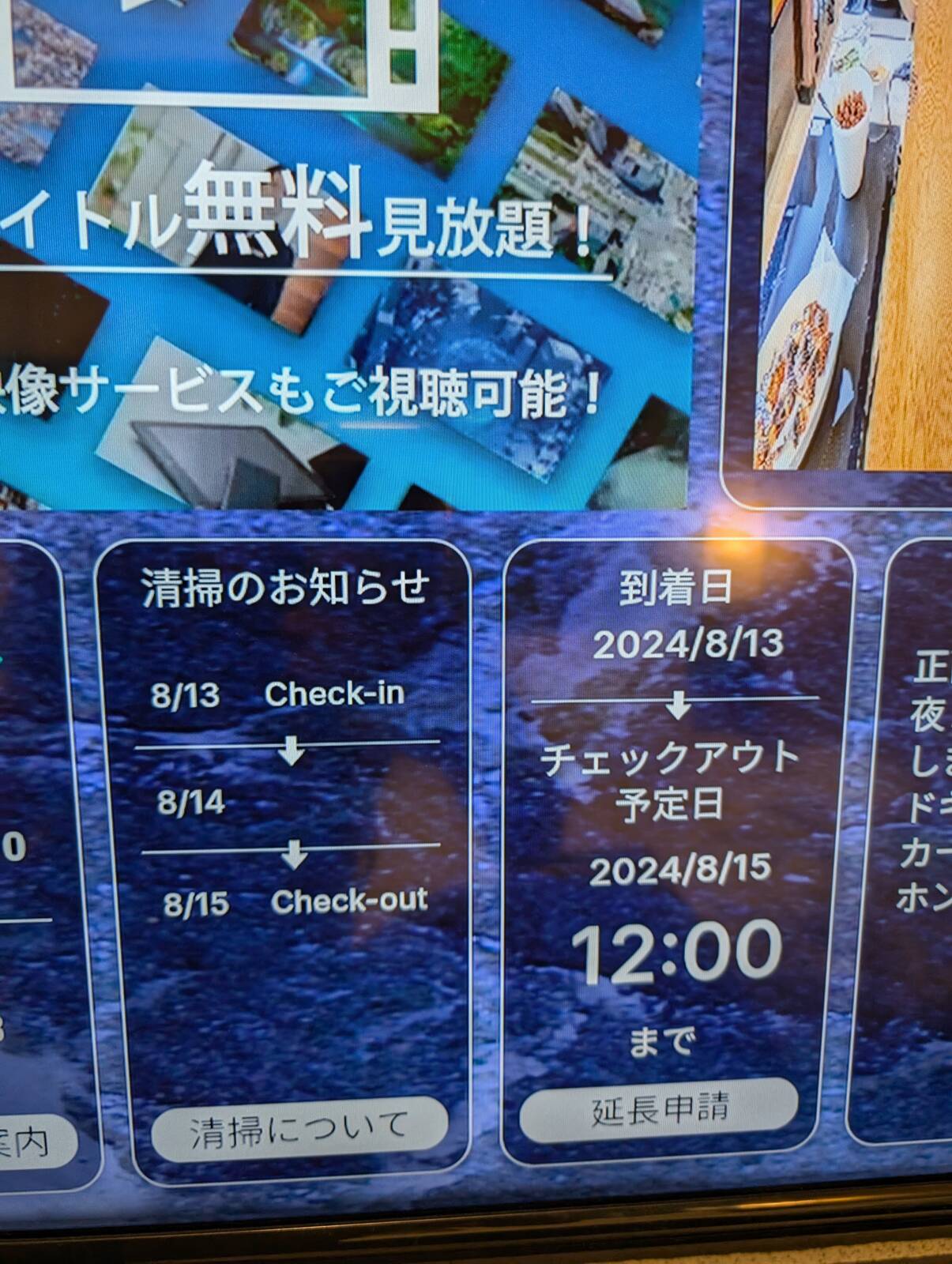 宿泊予定