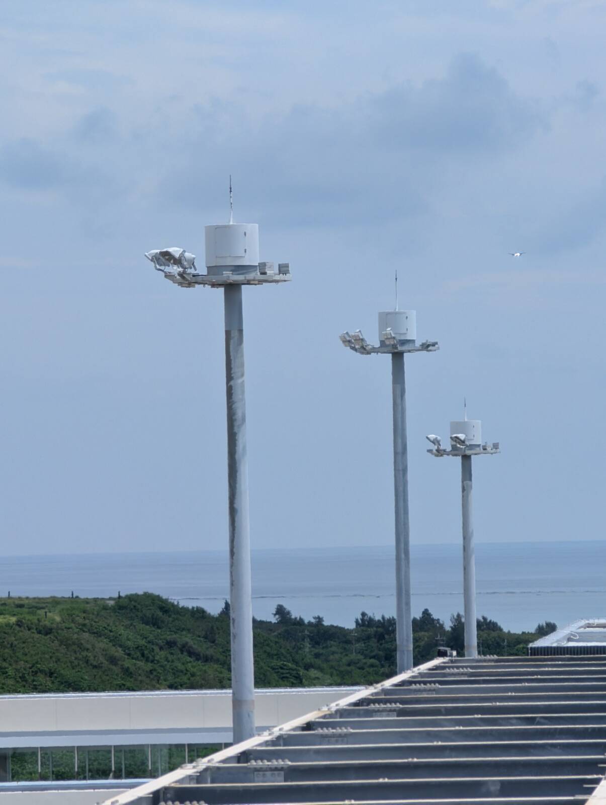 見える飛行機