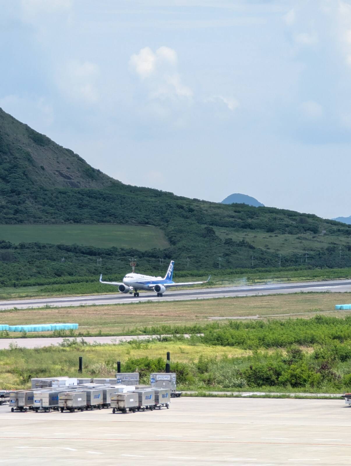 見えた飛行機