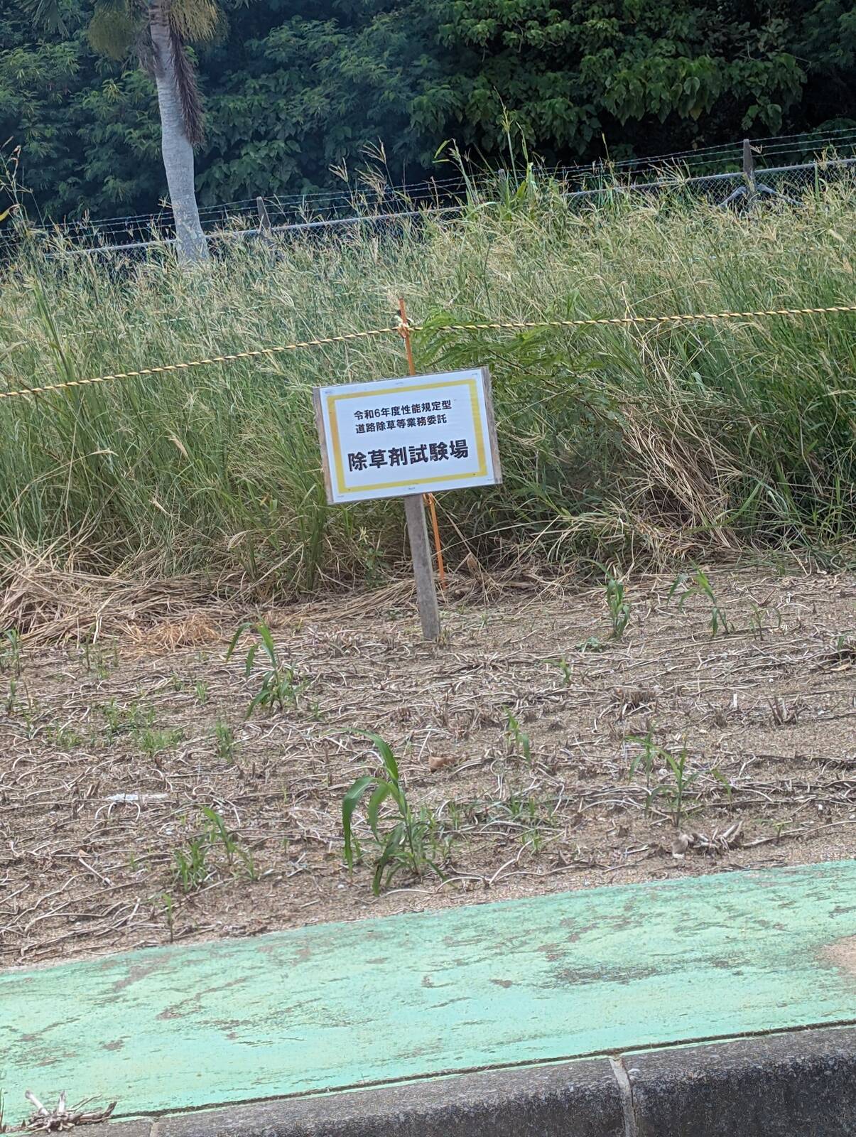 除草剤試験場