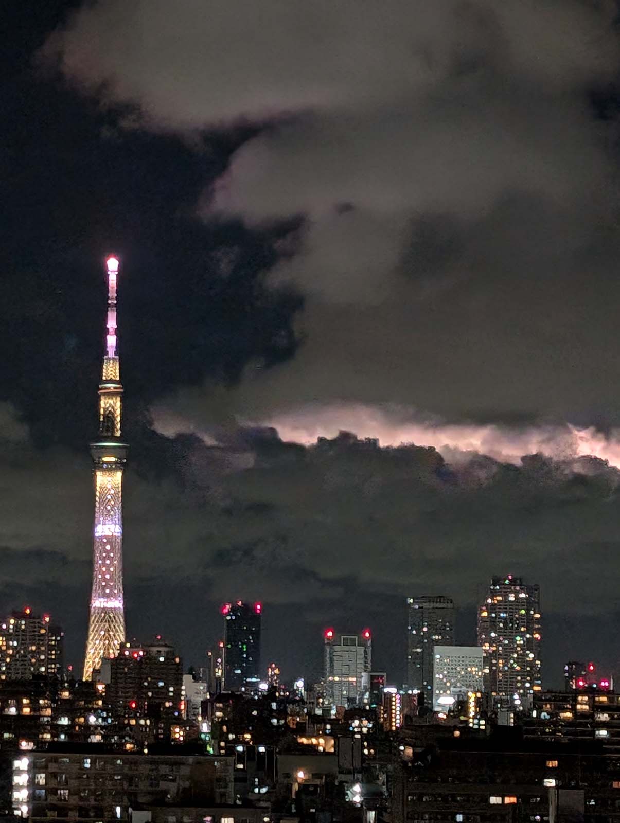 夜の撮影