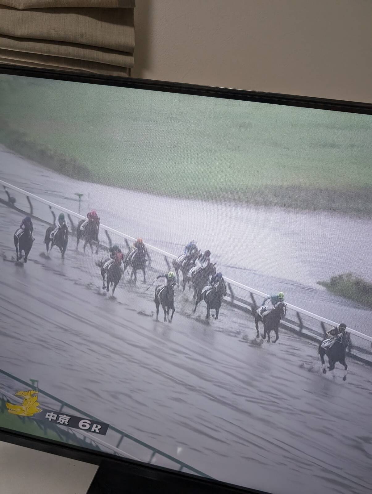 中京競馬場のダートコース