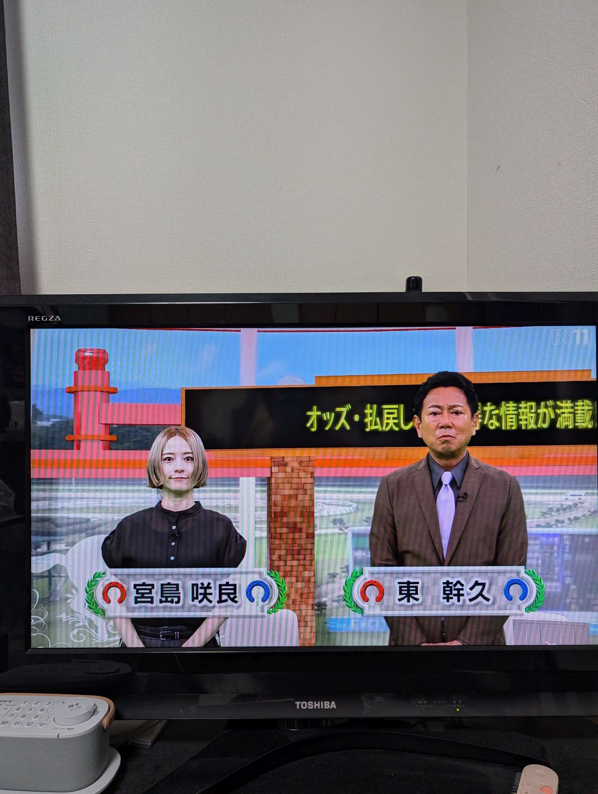 本日のイレブン競馬
