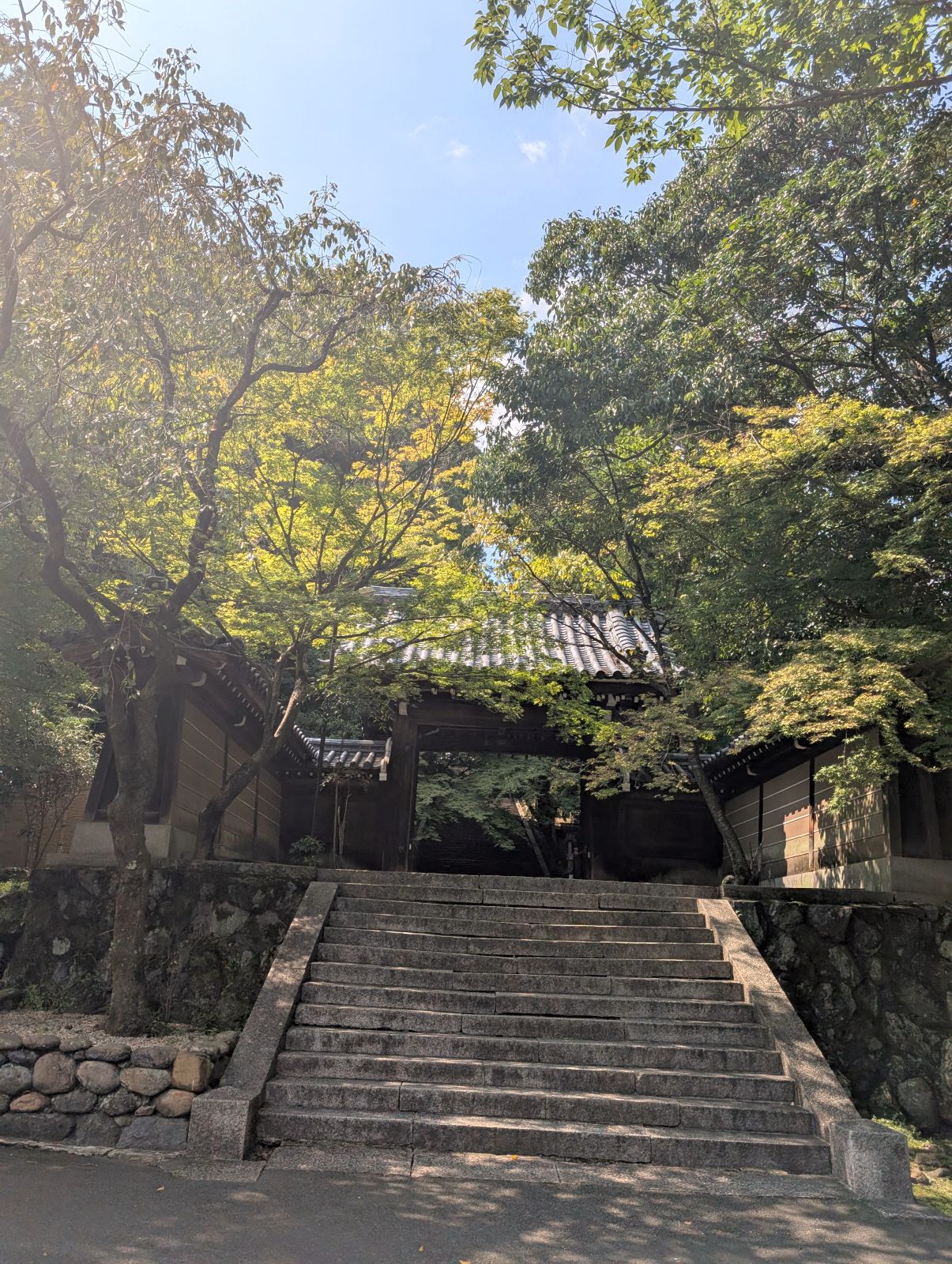 紅葉の季節