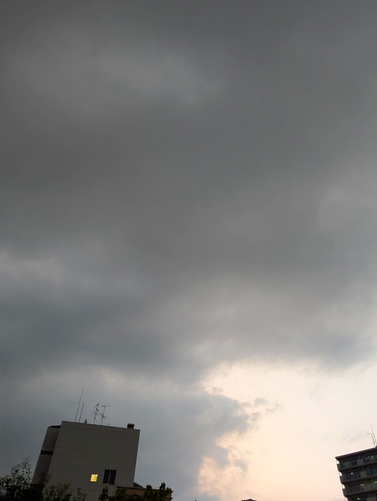 現在の雲行き