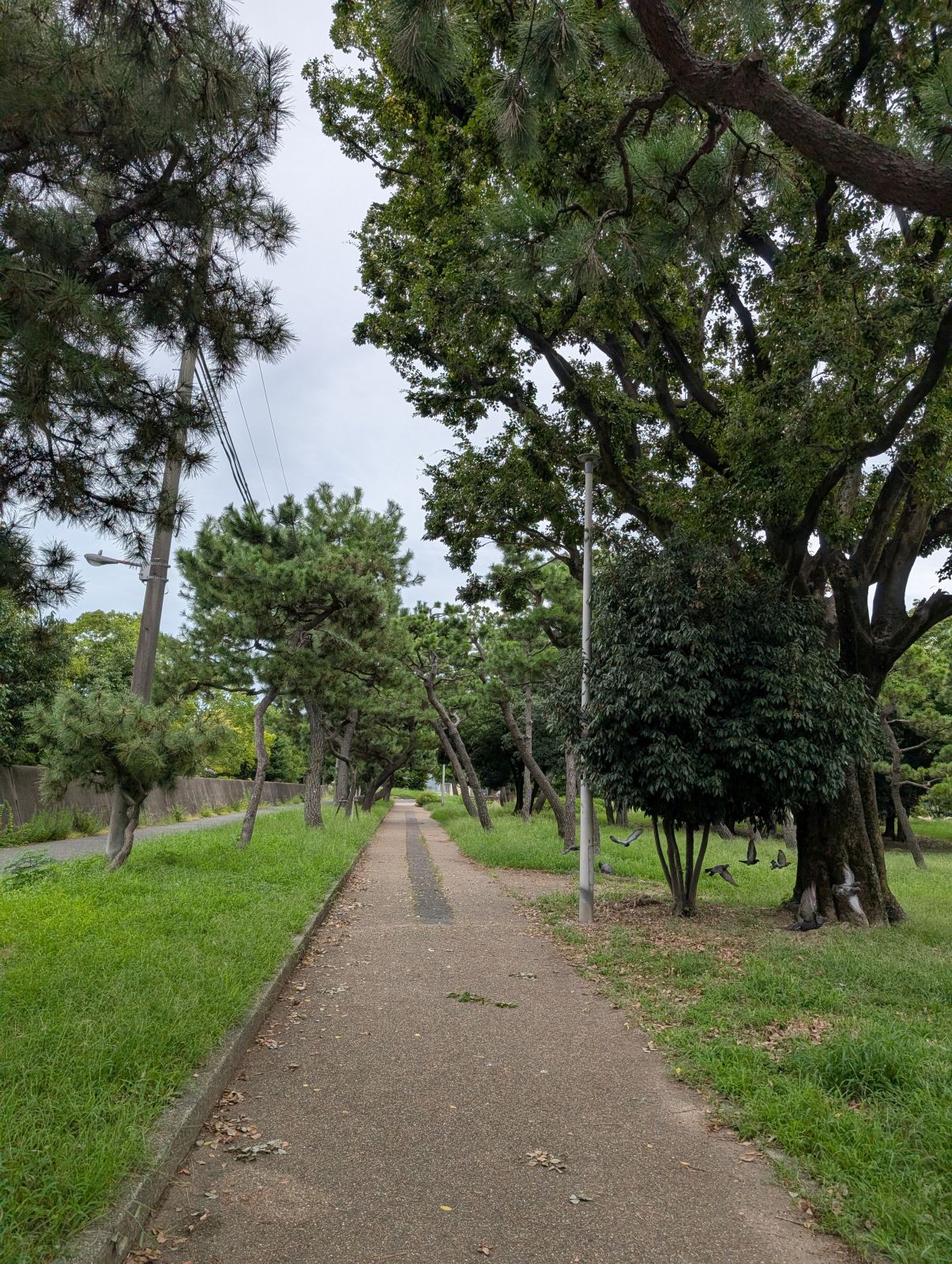 園内散策