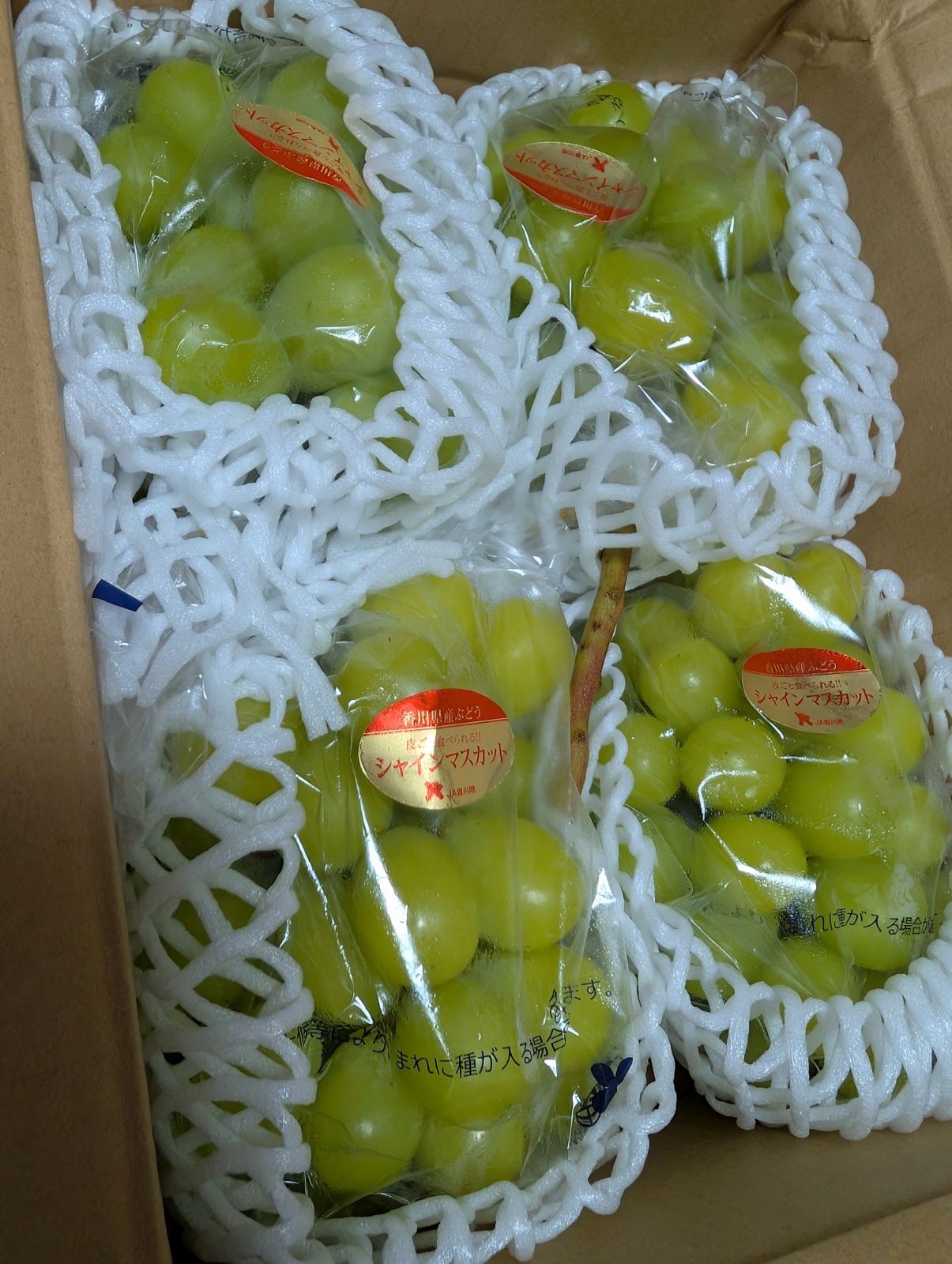 今月のふるさと納税返礼品