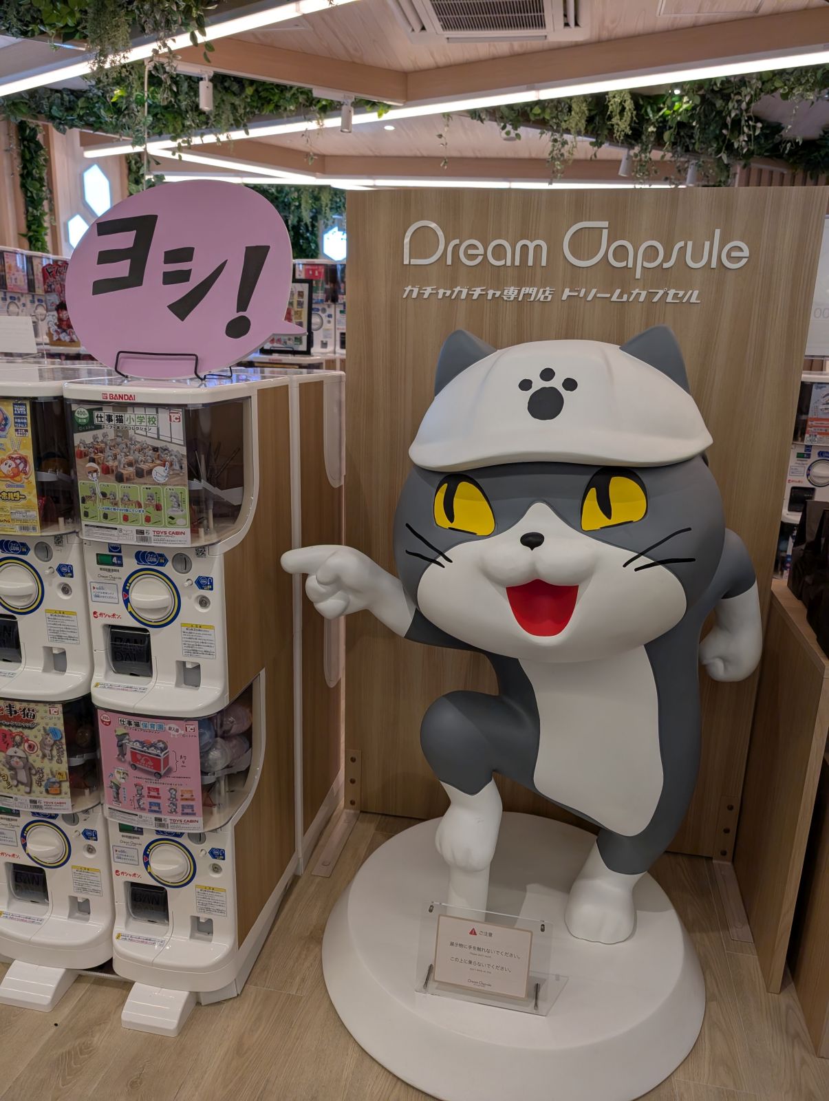ヨシ！