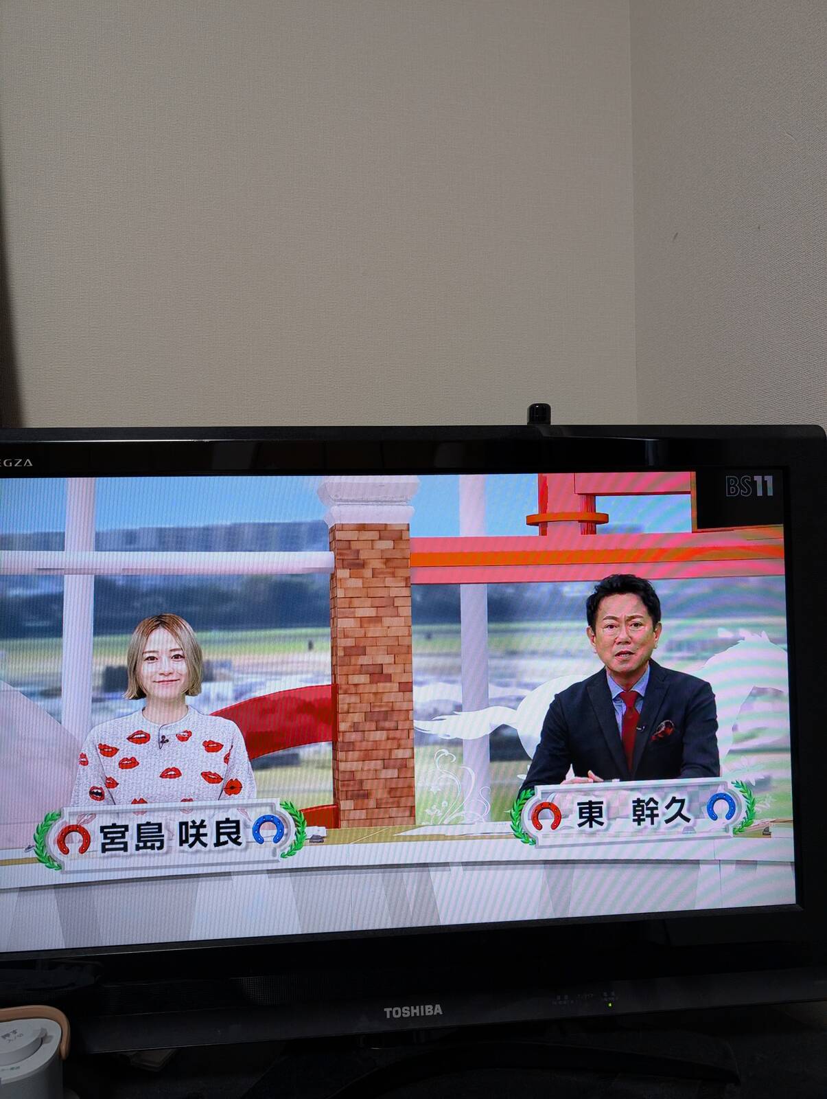 BSイレブン競馬