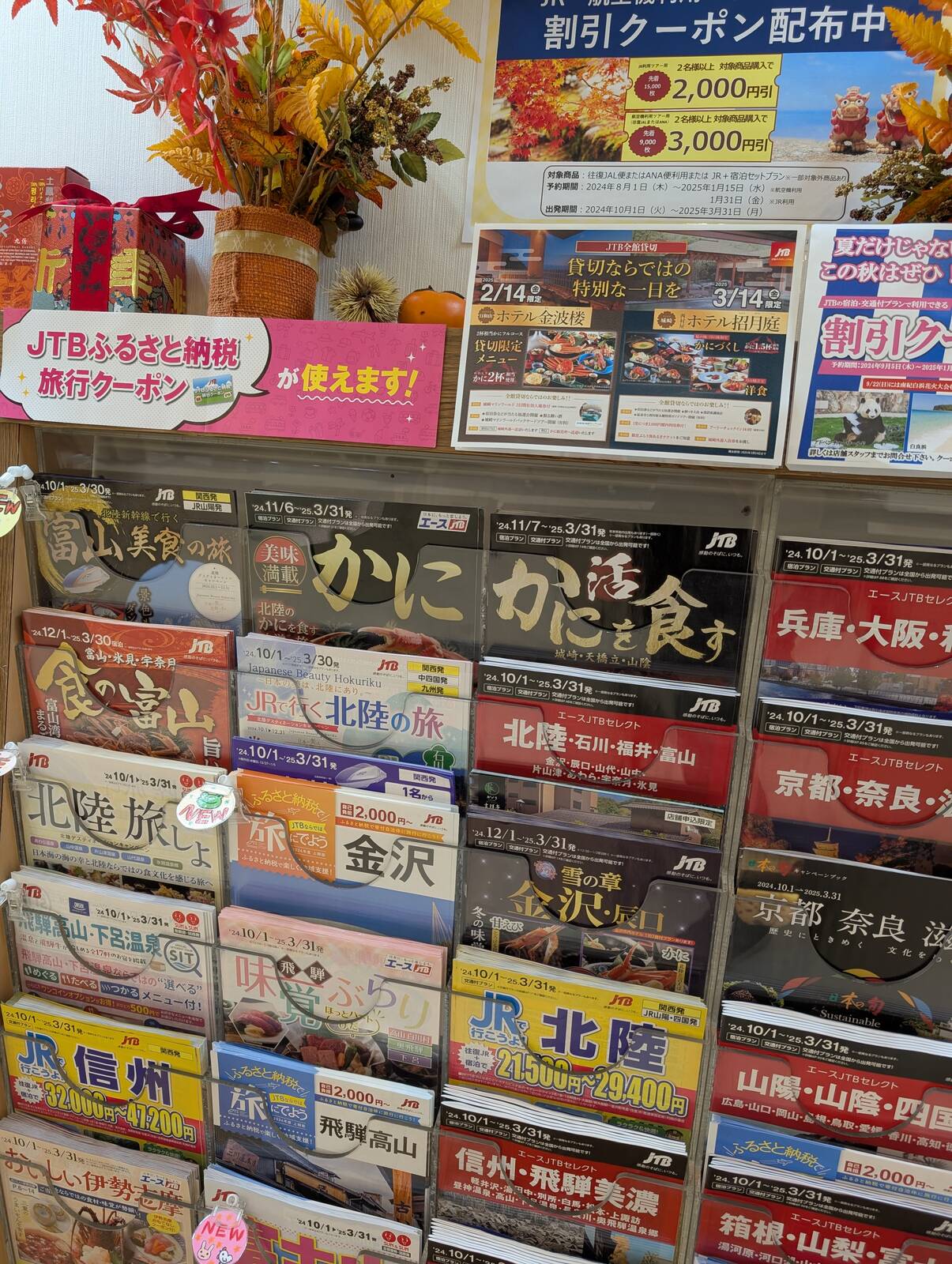 旅行パンフレット