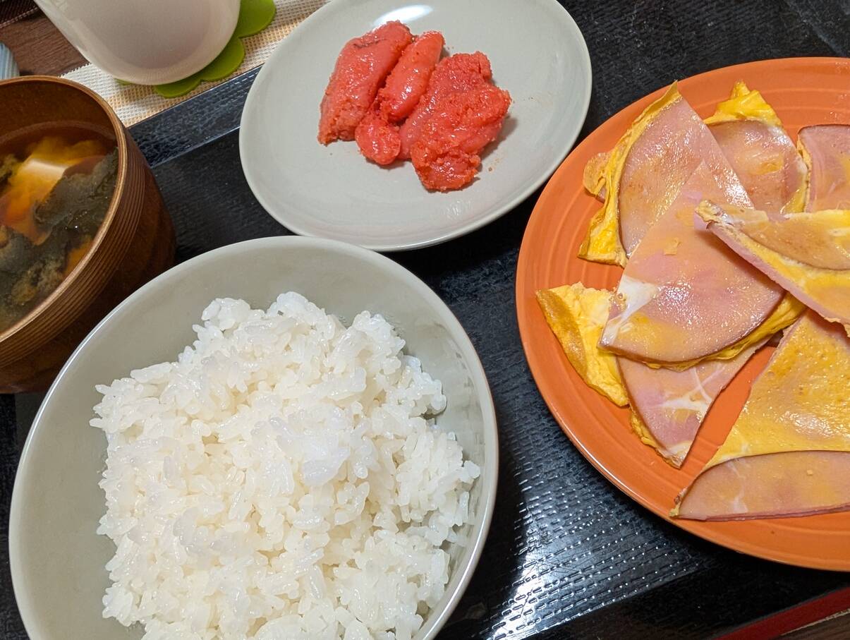 本日の朝食兼昼食