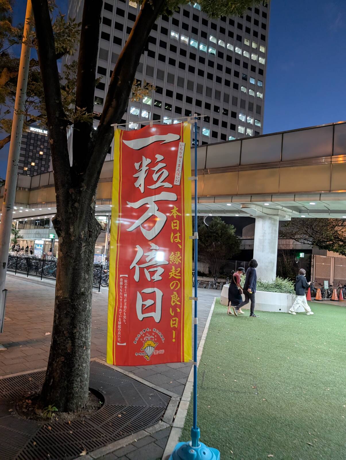 一粒万倍日