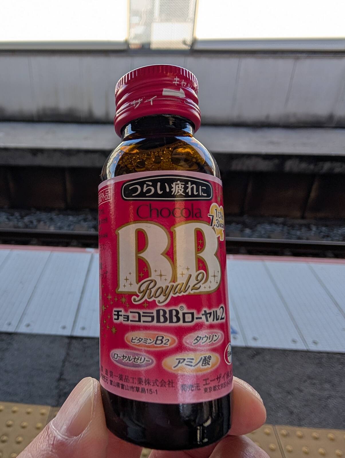 本日の栄養補給