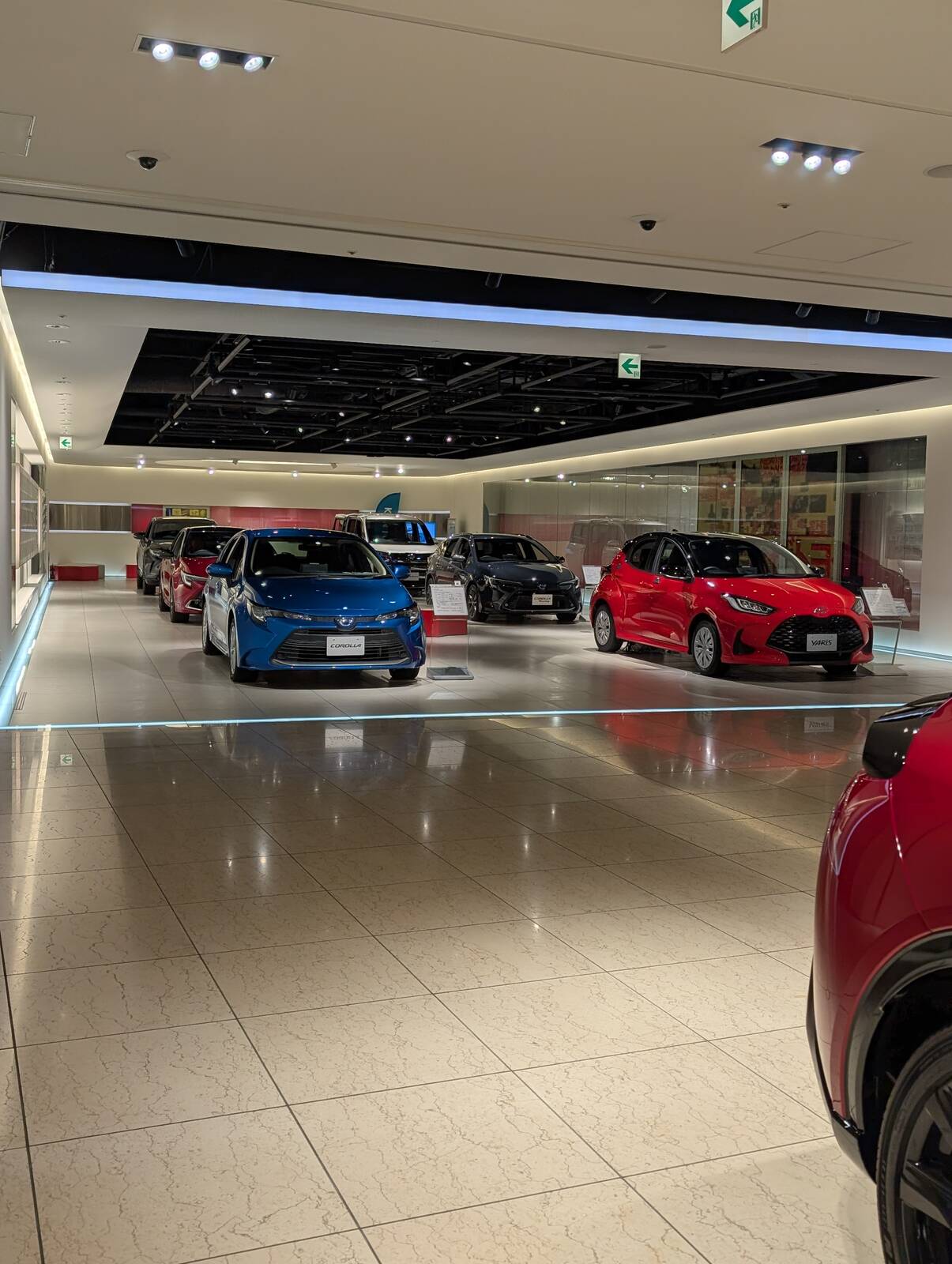 大衆車展示
