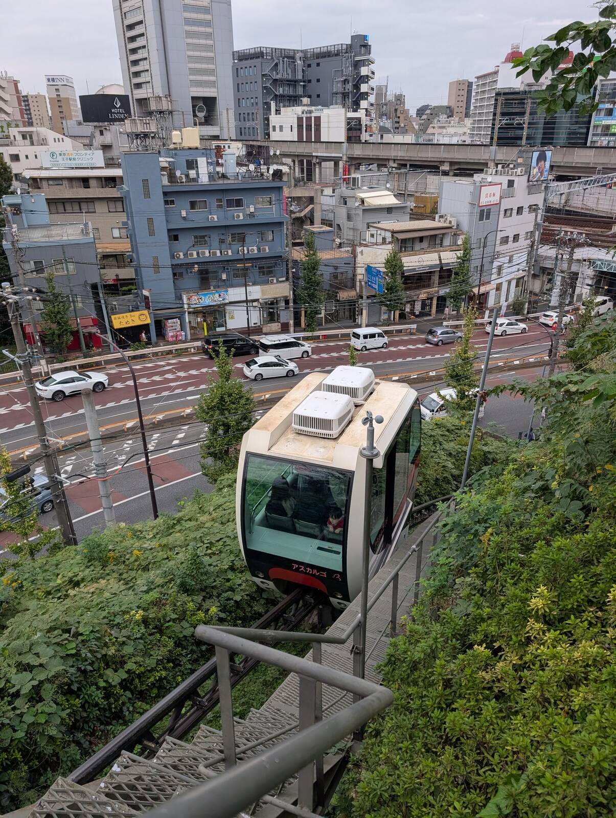 アスカルゴ