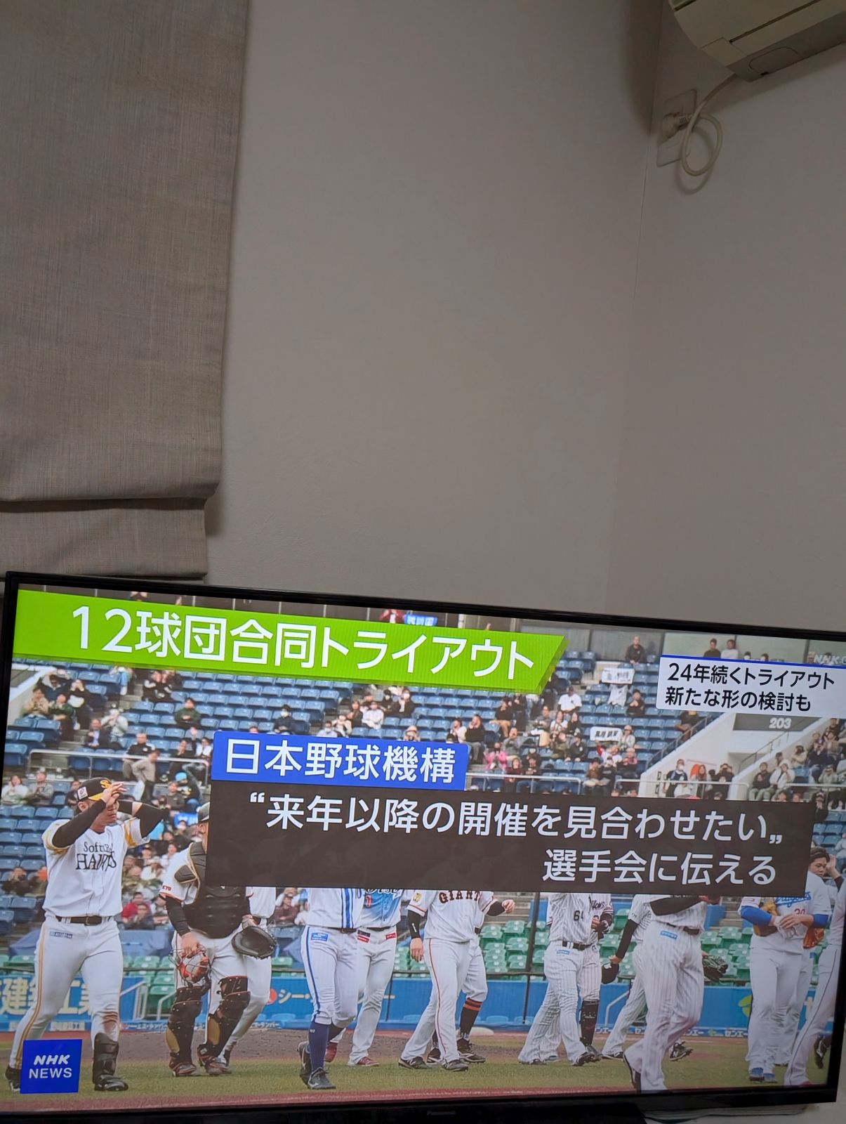 １２球団合同トライアウト