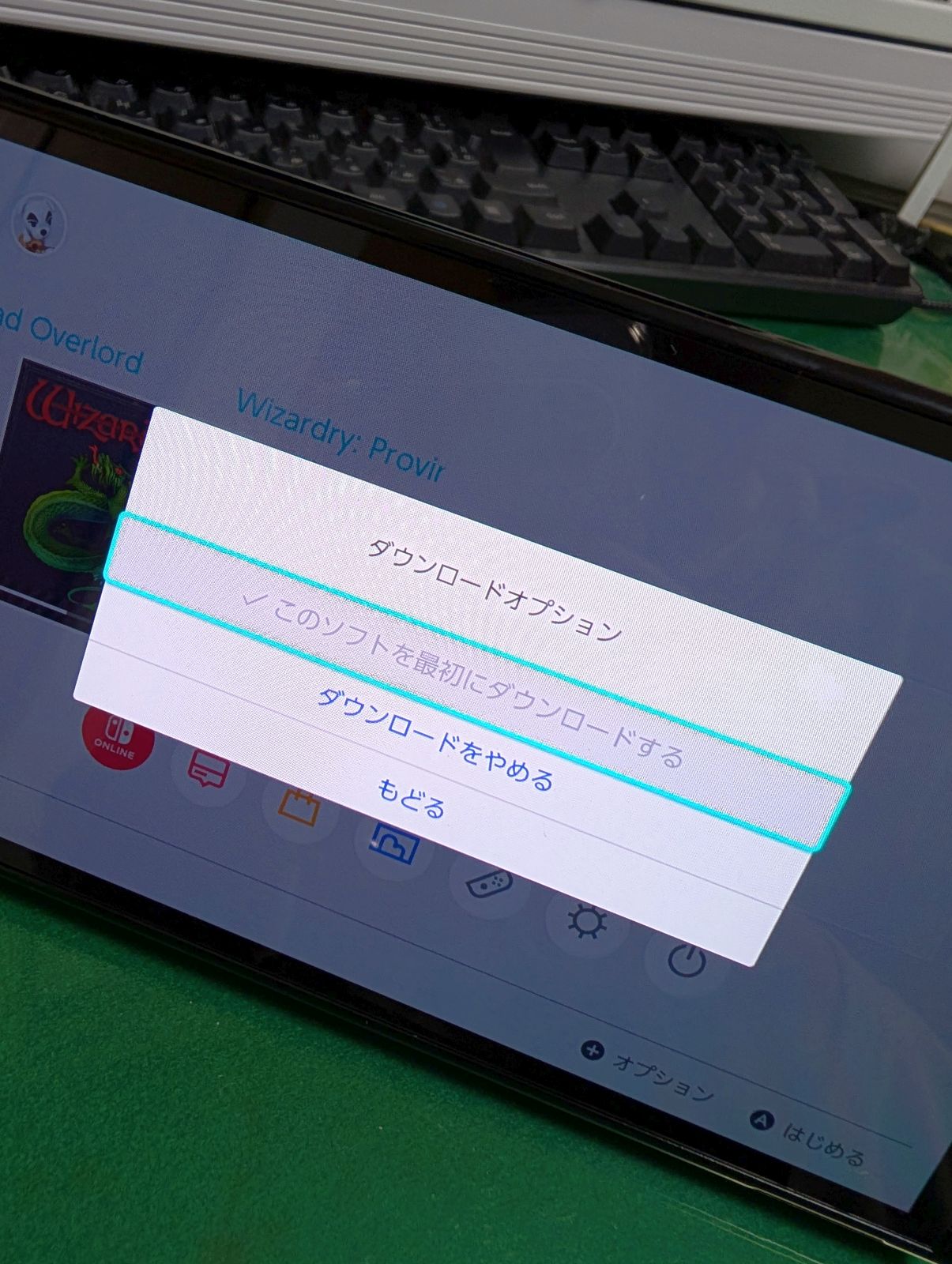 ダウンロードオプション