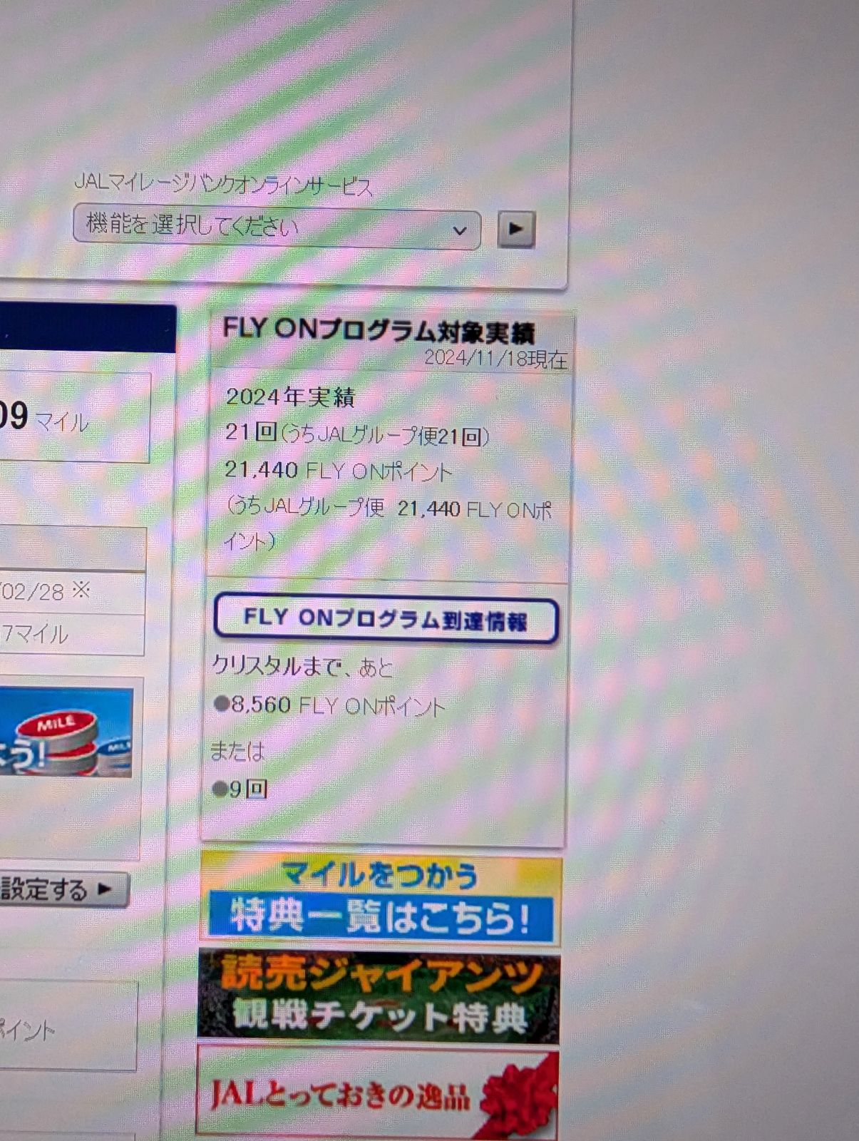 FLY ONプログラム対象実績