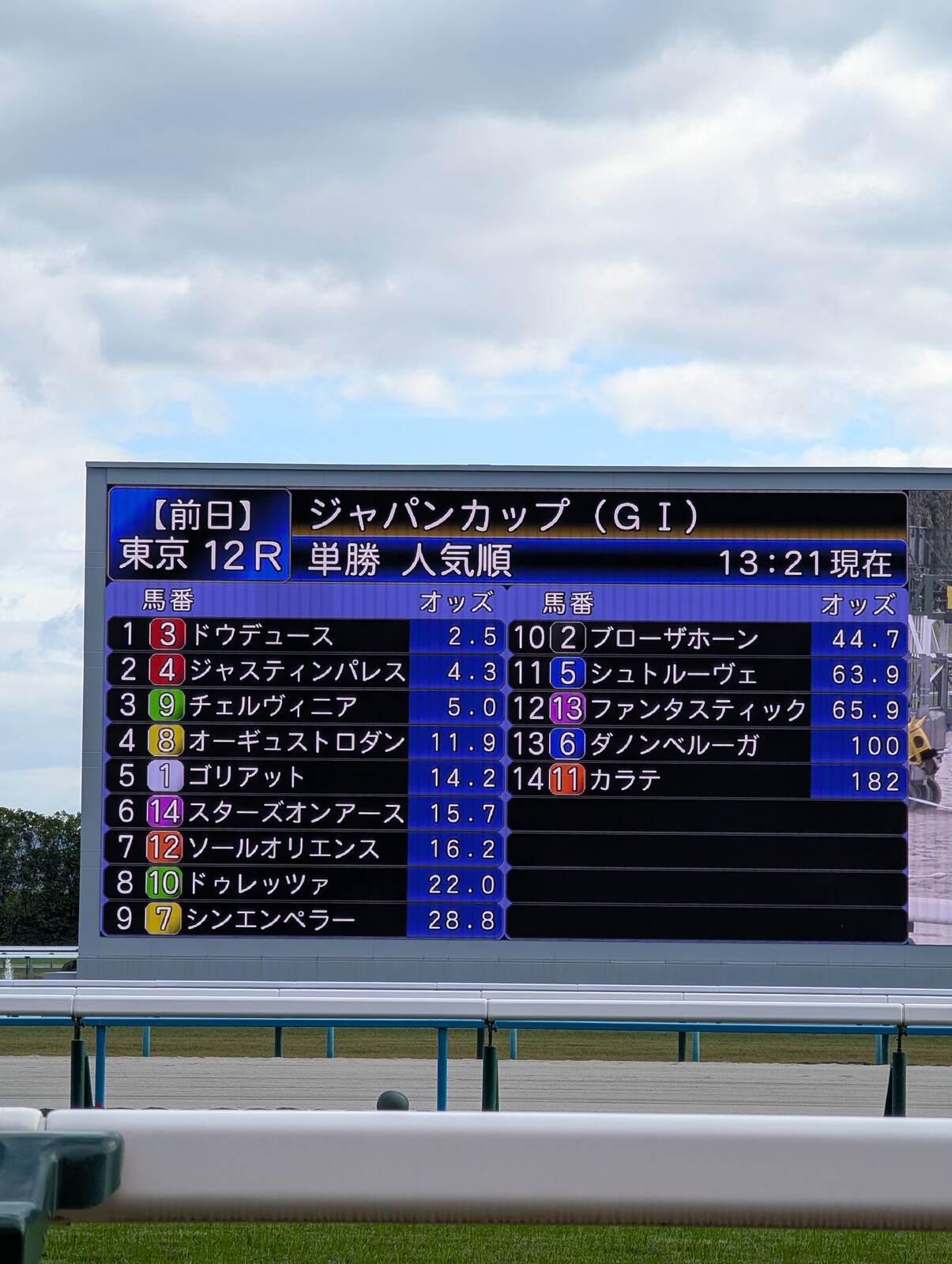 ジャパンカップ前日オッズ