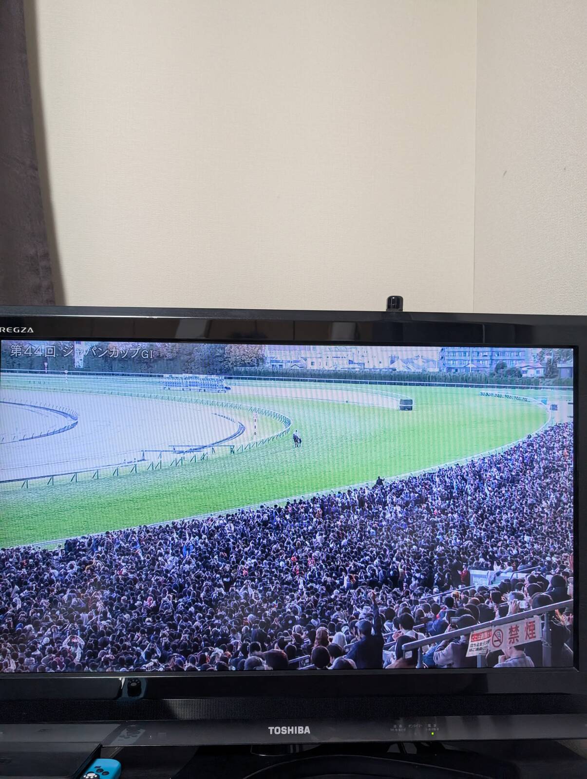 本日の東京競馬場