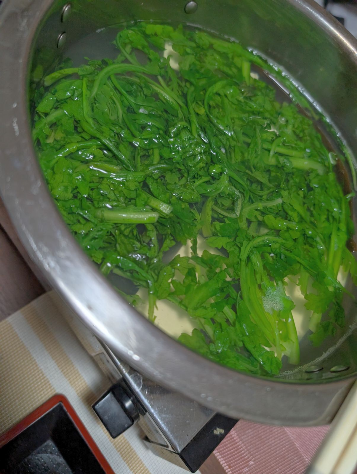本日の夕食