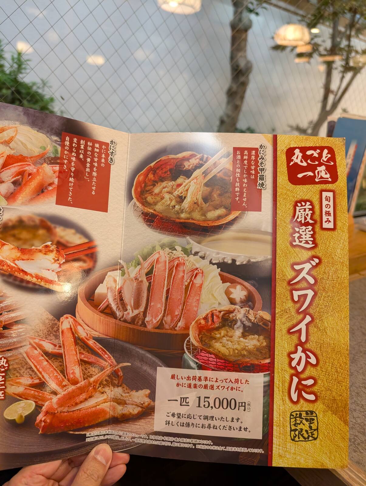 数量限定ズワイかに