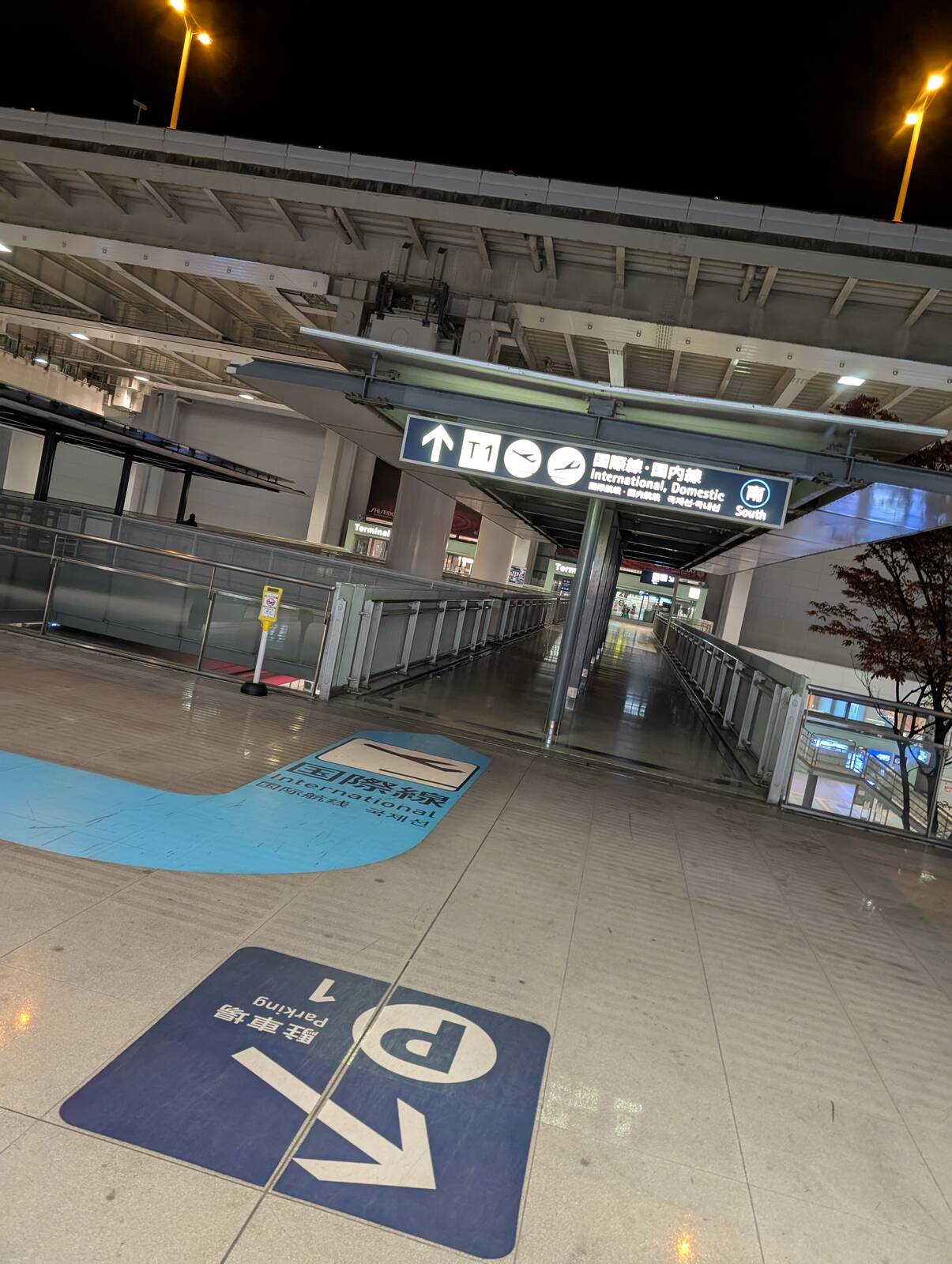 関空到着